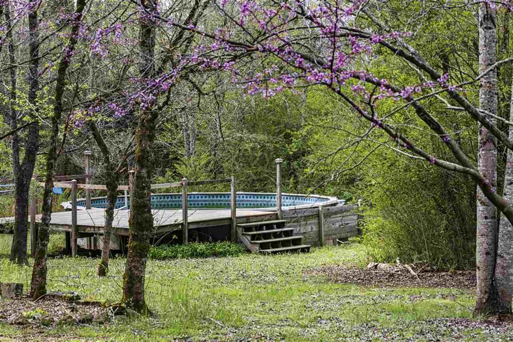 790 Mars Hill Road Spring City, TN 37381 - Photo 35 of 37 35