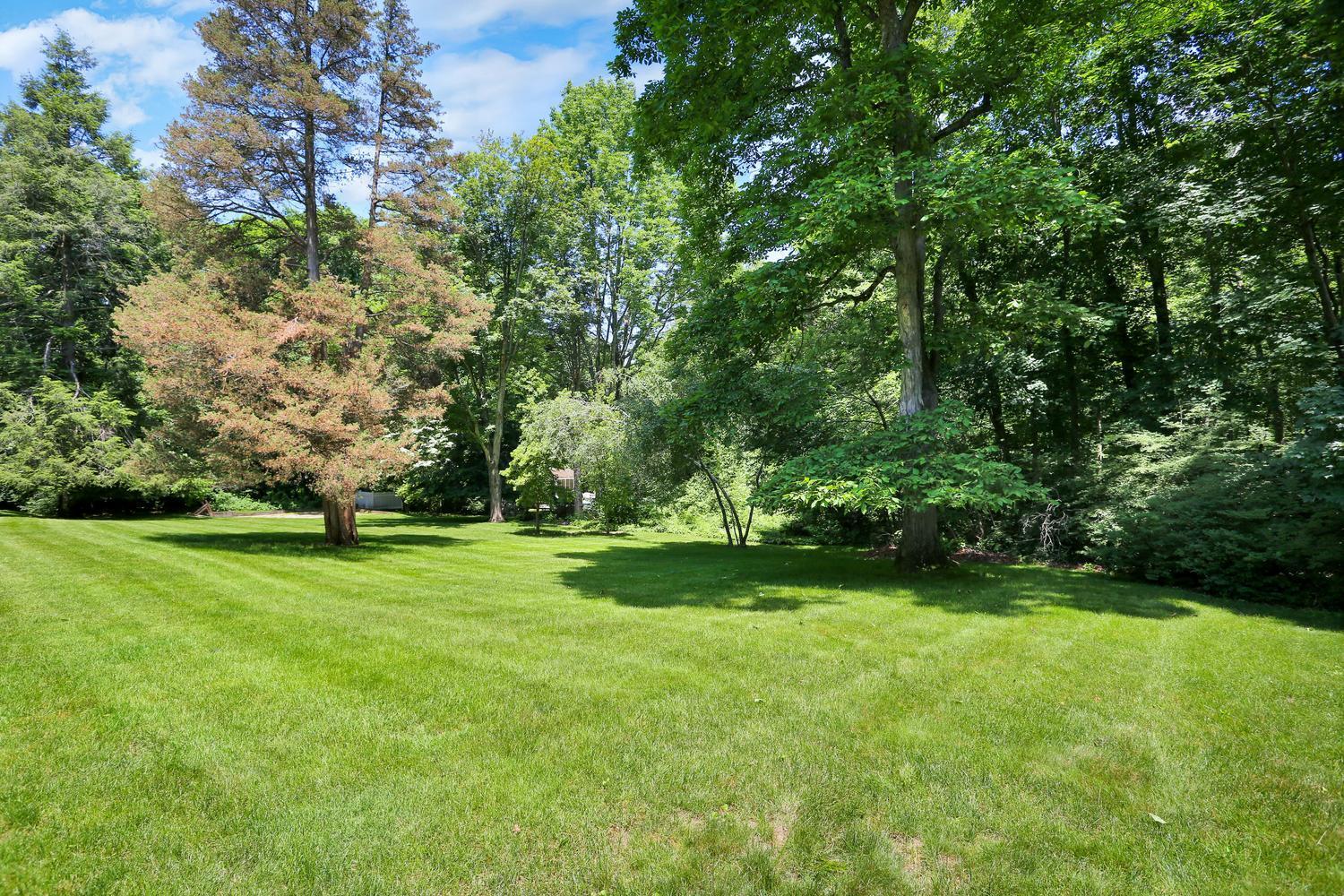 109 Rosebrook Road New Canaan, CT 06840 - Photo 38 of 47 a view of a grassy field with trees