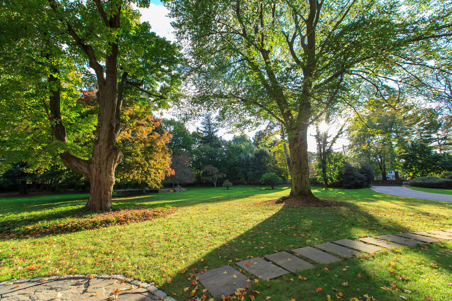 109 Rosebrook Road New Canaan, CT 06840 - Photo 40 of 47 a view of a trees with a yard
