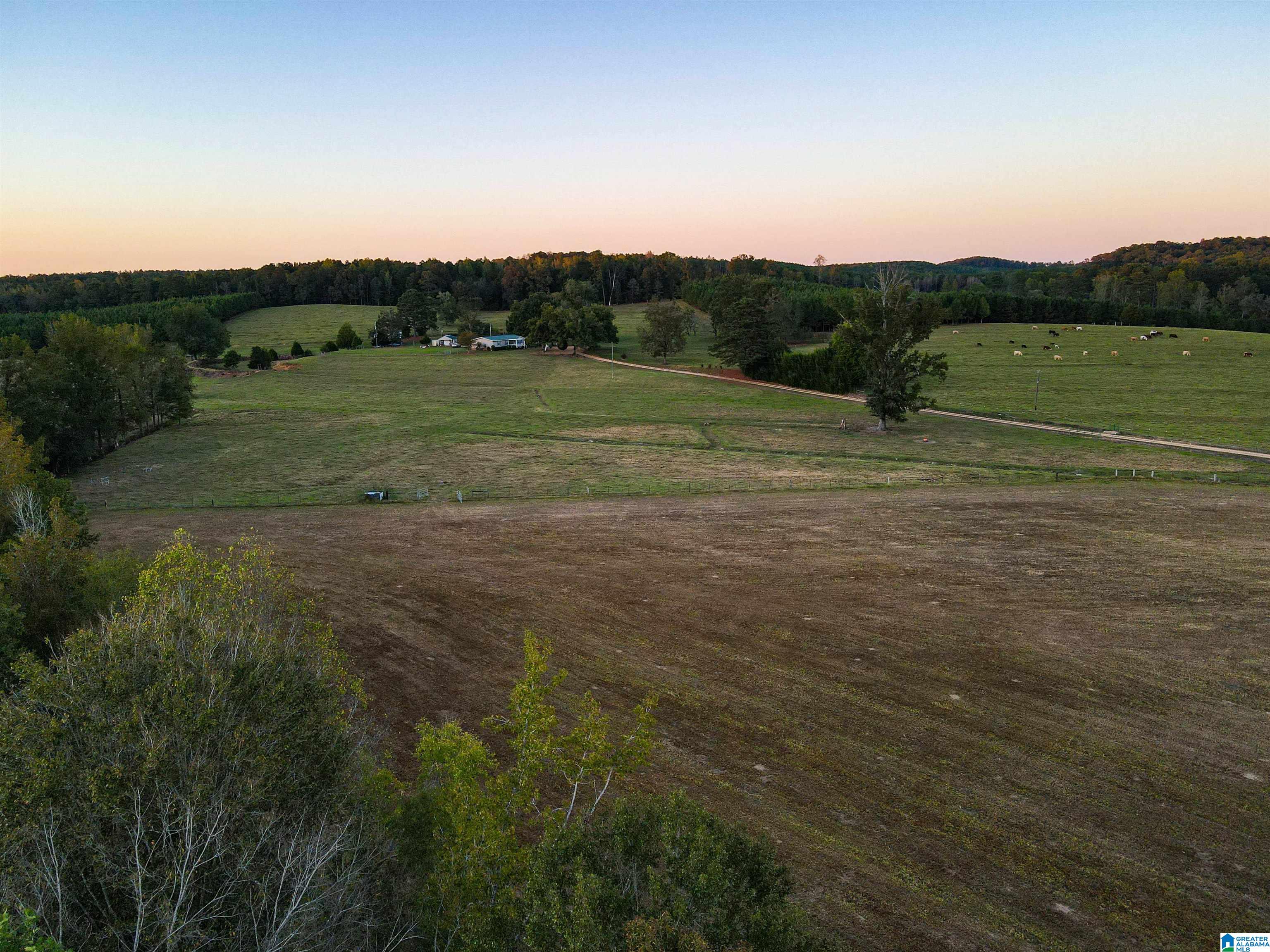 845 Turner Road Fayette, AL 35555 - Photo 36 of 61