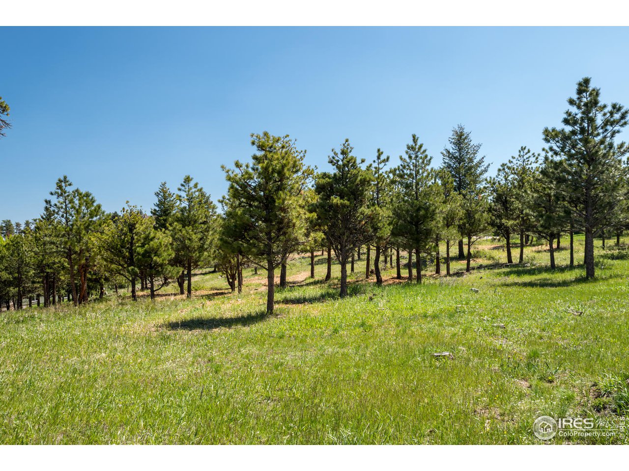 112 Deer Trail Road Boulder, CO 80302 - Photo 4 of 34 a view of backyard with green space