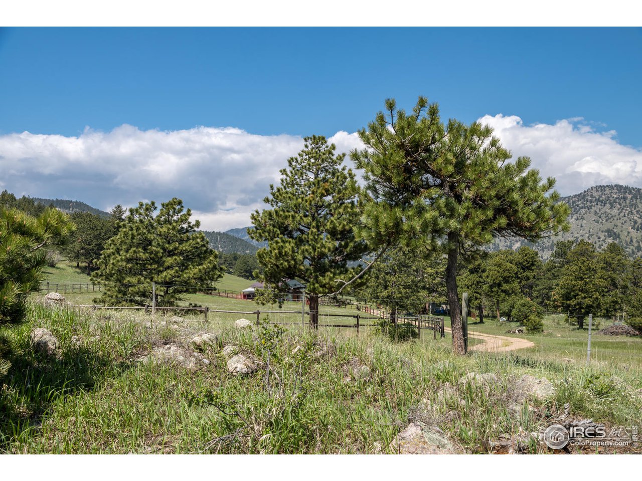 112 Deer Trail Road Boulder, CO 80302 - Photo 5 of 34 a backyard of a house with lots of green space