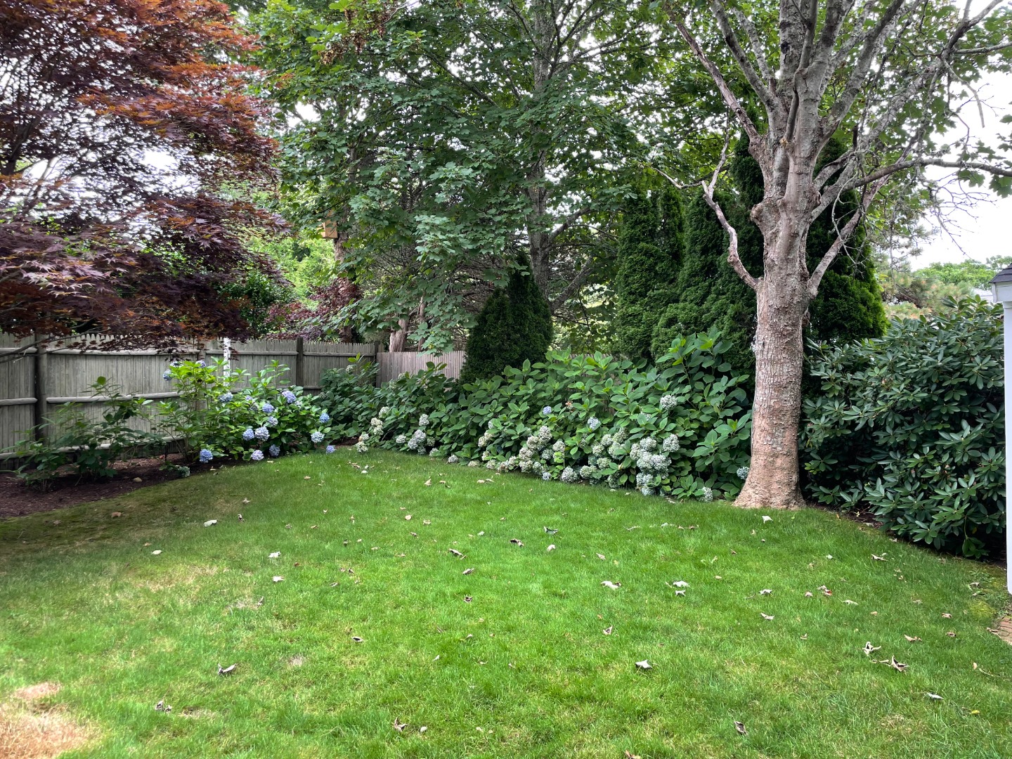 13 Planting Field Way Edgartown, MA 02539 - Photo 7 of 46 Beautifully landscaped yard