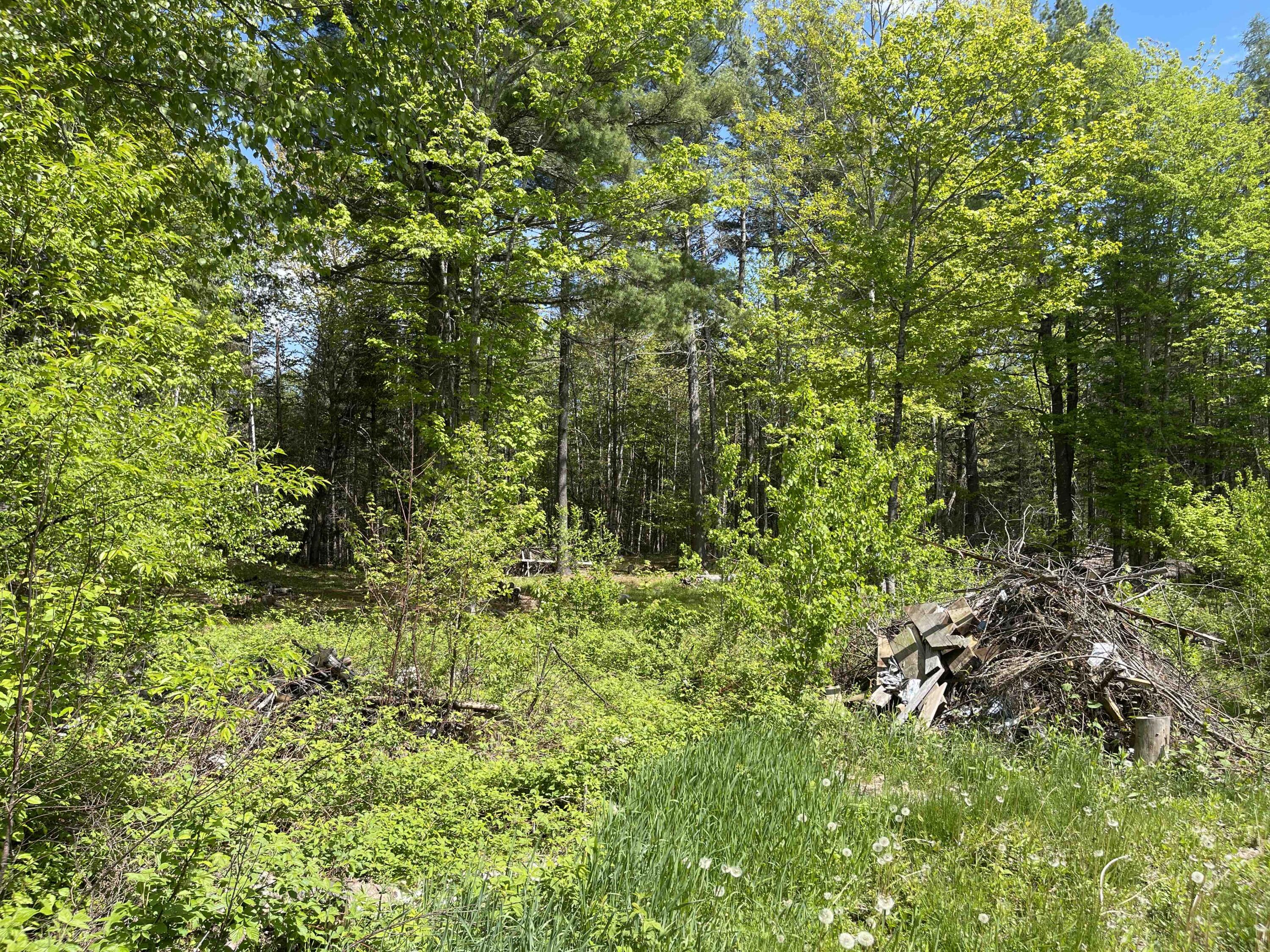 3215 Mariaville Road Ellsworth, ME 04605 - Photo 6 of 33 35