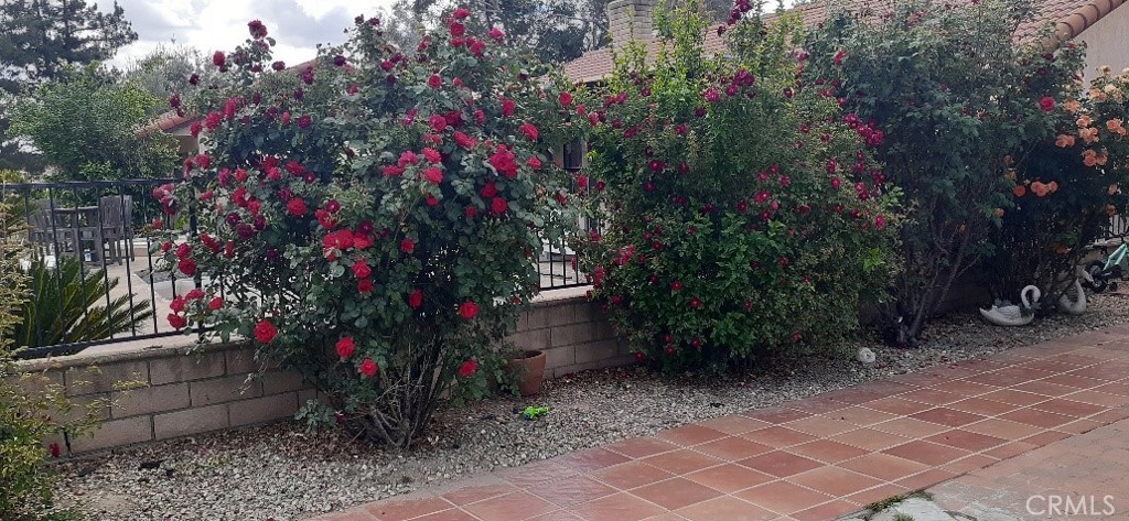 1484 Pepper Tree Drive Hemet, CA 92545 - Photo 26 of 29 Lovely Mature Roses