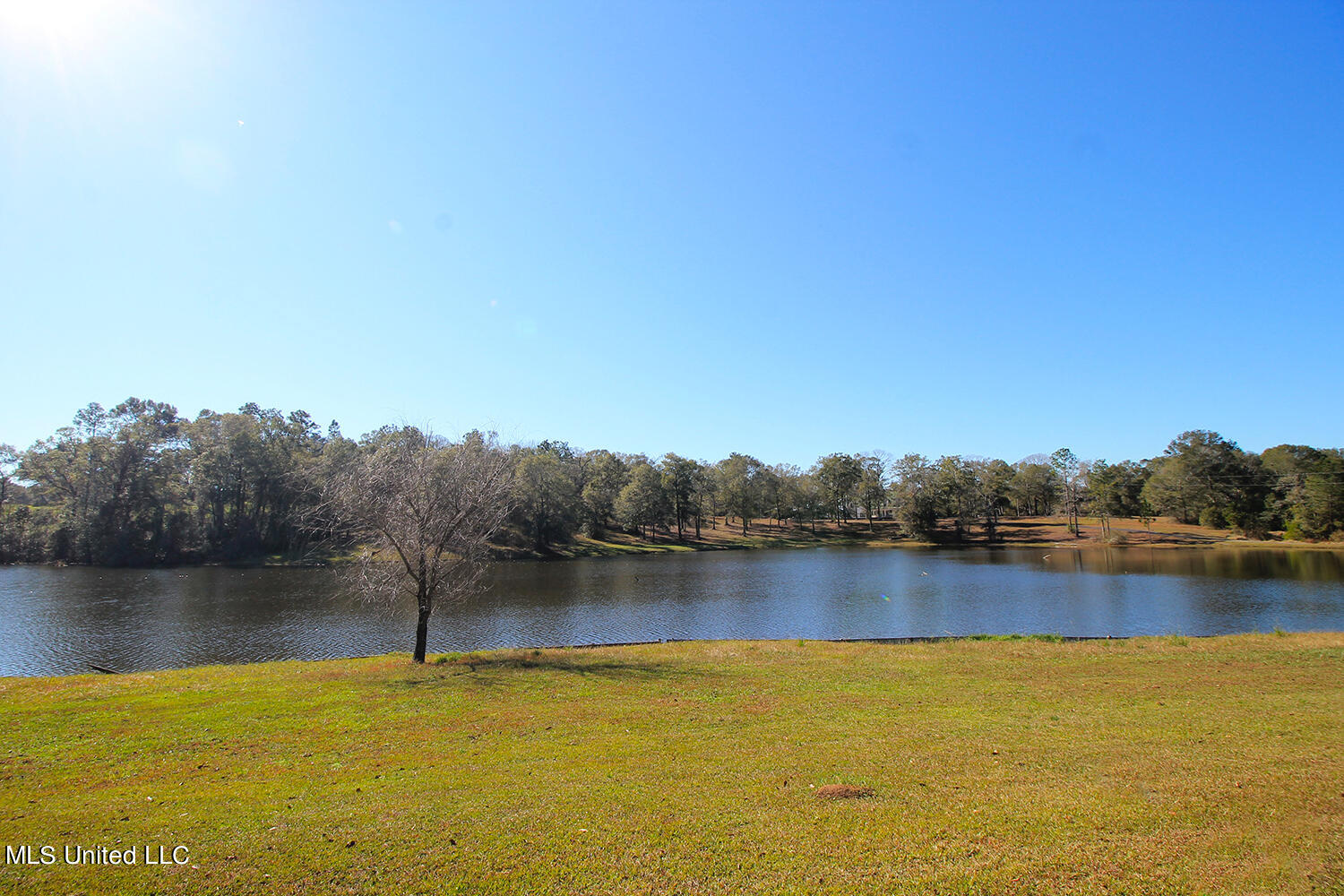 160 Timberidge Road Lucedale, MS 39452 - Photo 6 of 60 1 (4.5)