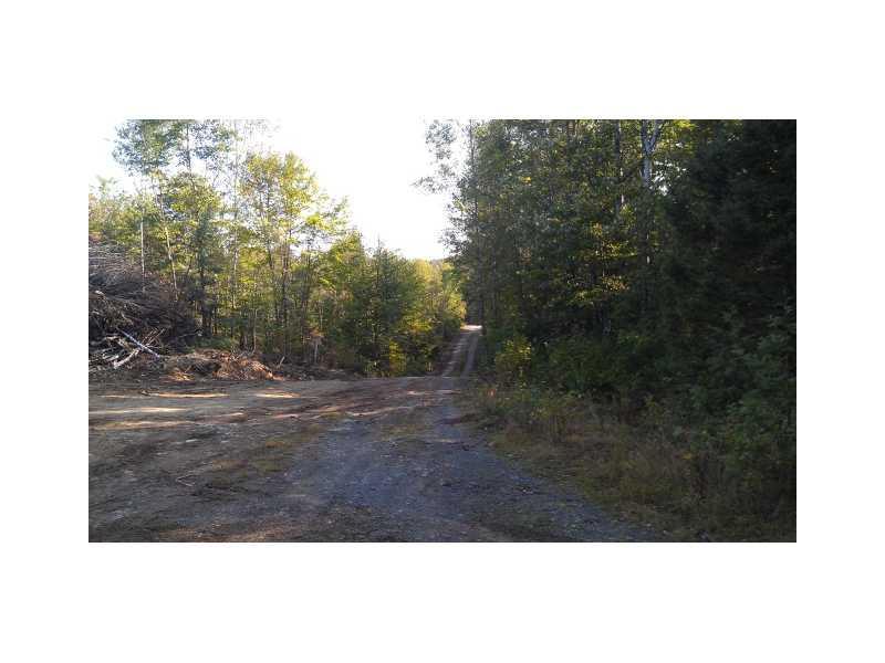 Lot 13 Ackley Pond Rd Mount Mount Chase, ME 04765 - Photo 4 of 5 Land/Lot.