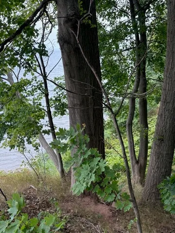 $199,900 | 6191 East Lake Road, Newfane, NY 14028