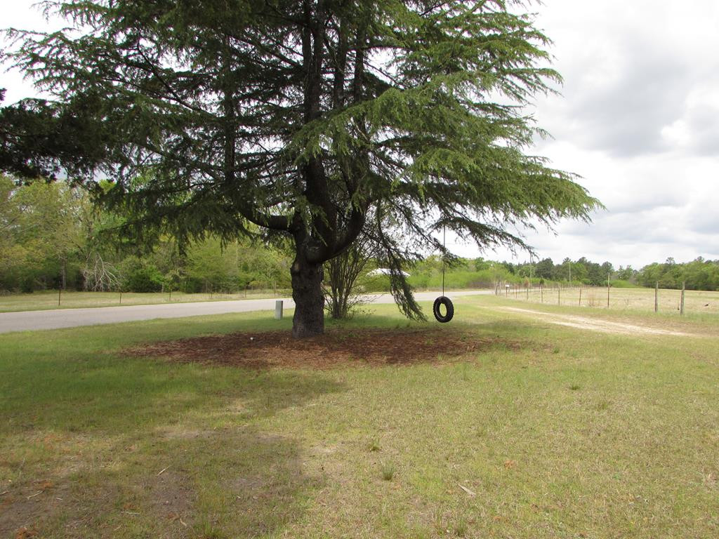 1617 Keys Pond Road Ridge Spring, SC 29129 - Photo 21 of 22