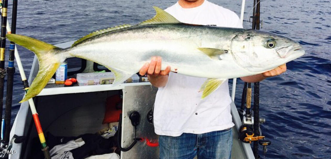 2901 Peninsula Road, Unit 351 Oxnard, CA 93035 - Photo 42 of 45 a workspace with furniture and wooden floor