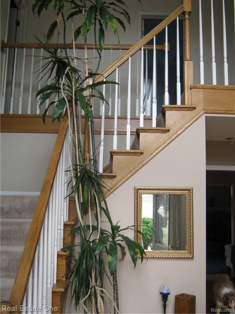 23880 Hall Road Trenton, MI 48183 - Photo 30 of 50 IMG_0019.JPG
