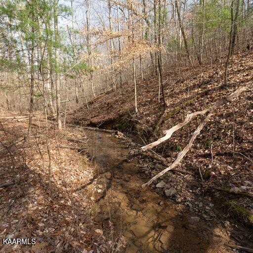 0 Brewstertown Road Sunbright, TN 37872 - Photo 6 of 16 Gallery Image 6