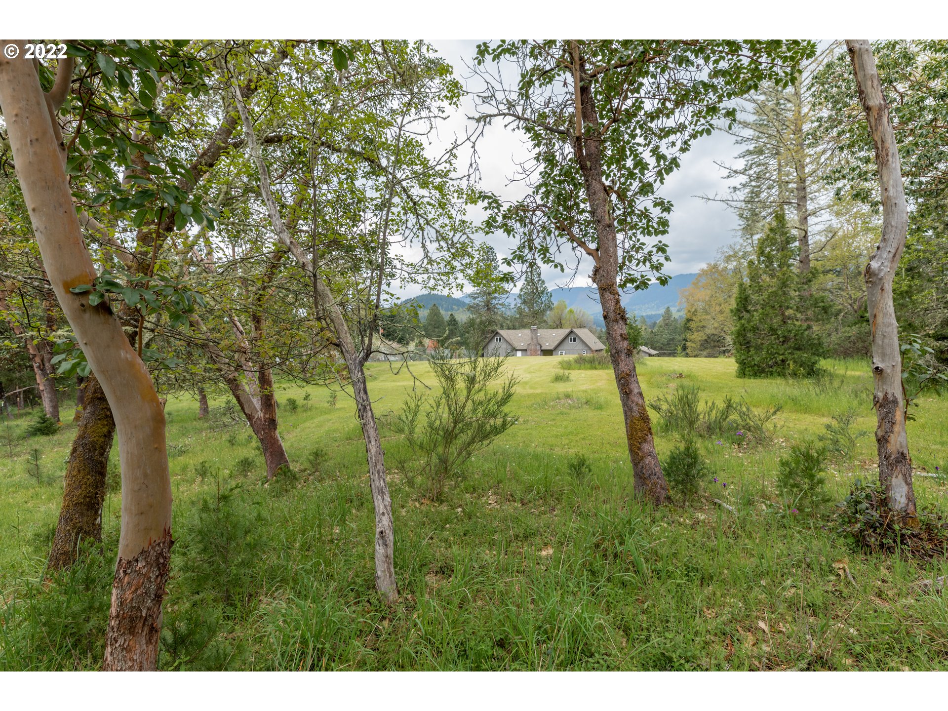 1137 Elgarose Road Roseburg, OR 97471 - Photo 11 of 32 Gallery Image 11