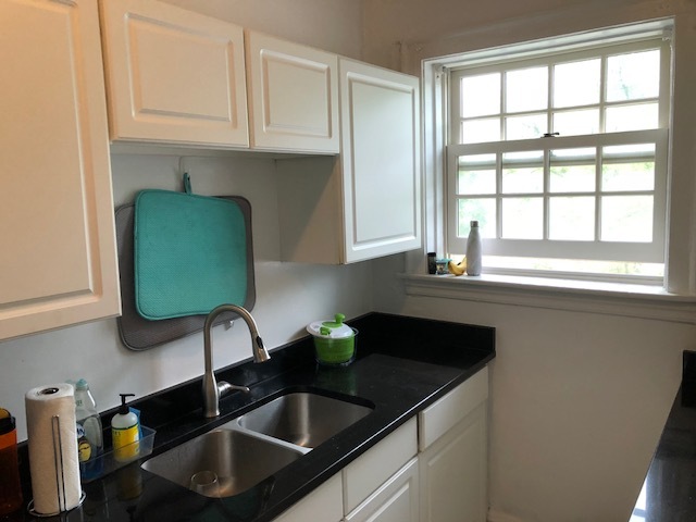 1111 Lake Street, Unit 3 Evanston, IL 60201 - Photo 8 of 13