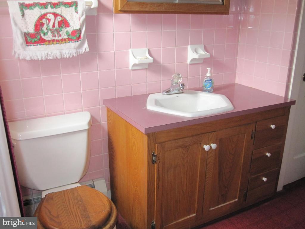 971 Letort Road Washington Boro, PA 17582 - Photo 24 of 29 a bathroom with a toilet a sink and a mirror