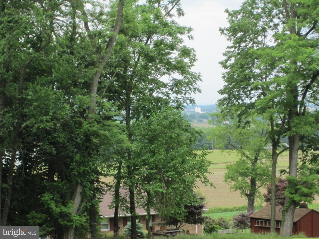 971 Letort Road Washington Boro, PA 17582 - Photo 6 of 29 a view of a forest with a lake