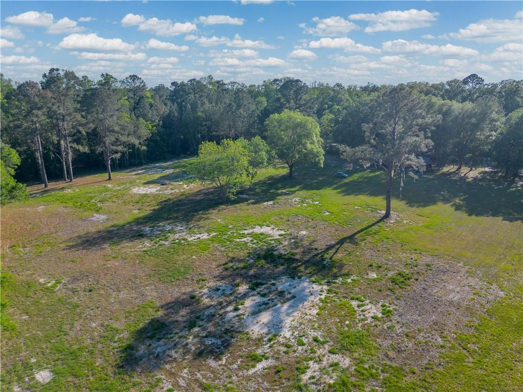 264 Williams Loop Waycross, GA 31503 - Photo 5 of 33