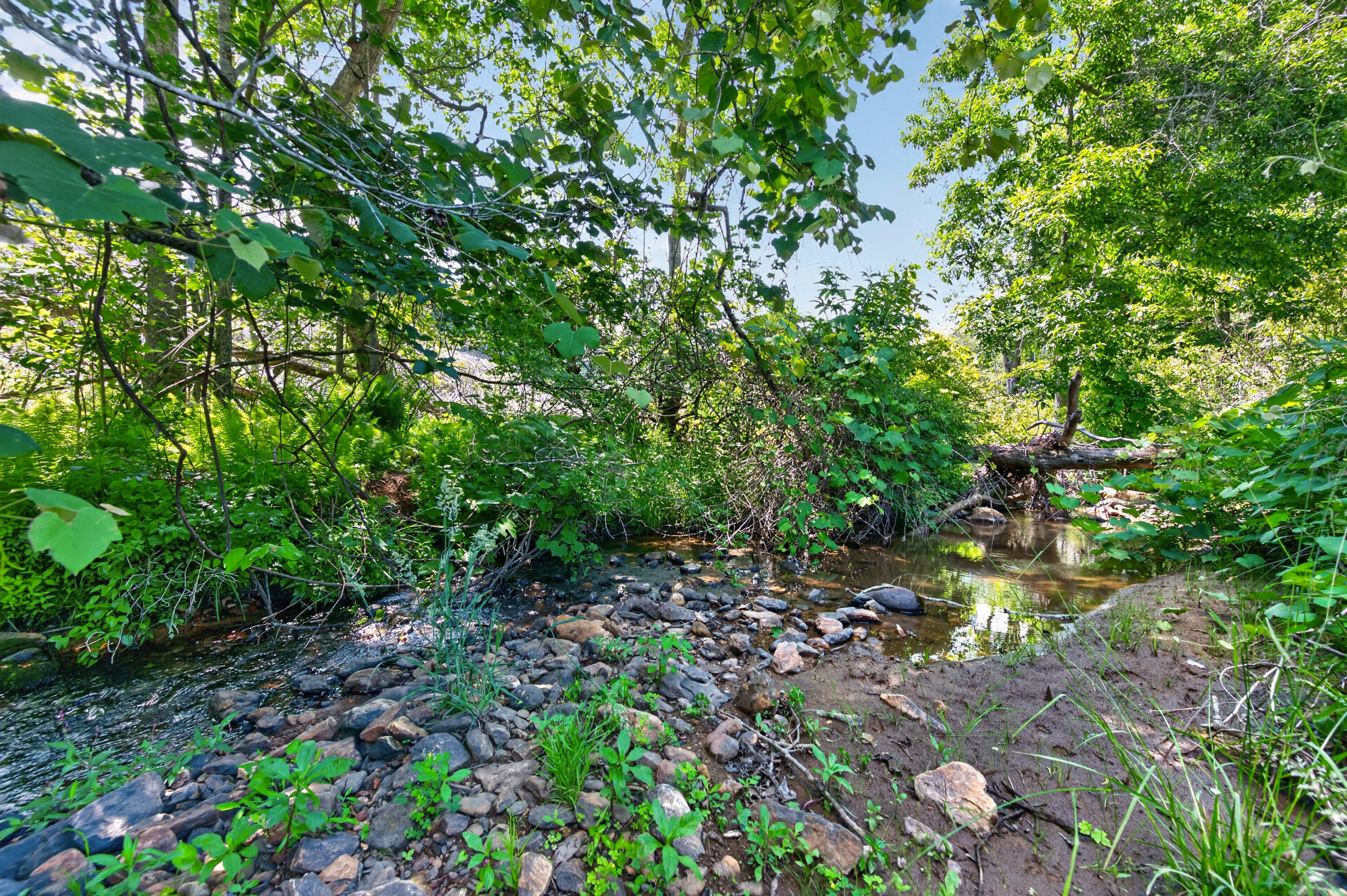 6196 Chances Creek Road Fancy Gap, VA 24328 - Photo 56 of 78 57