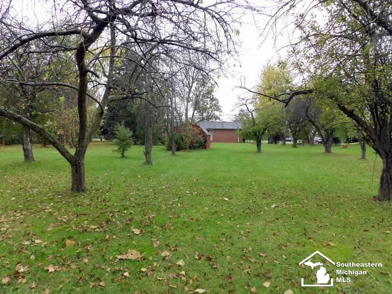 26215 Allen Road Woodhaven, MI 48183 - Photo 7 of 38