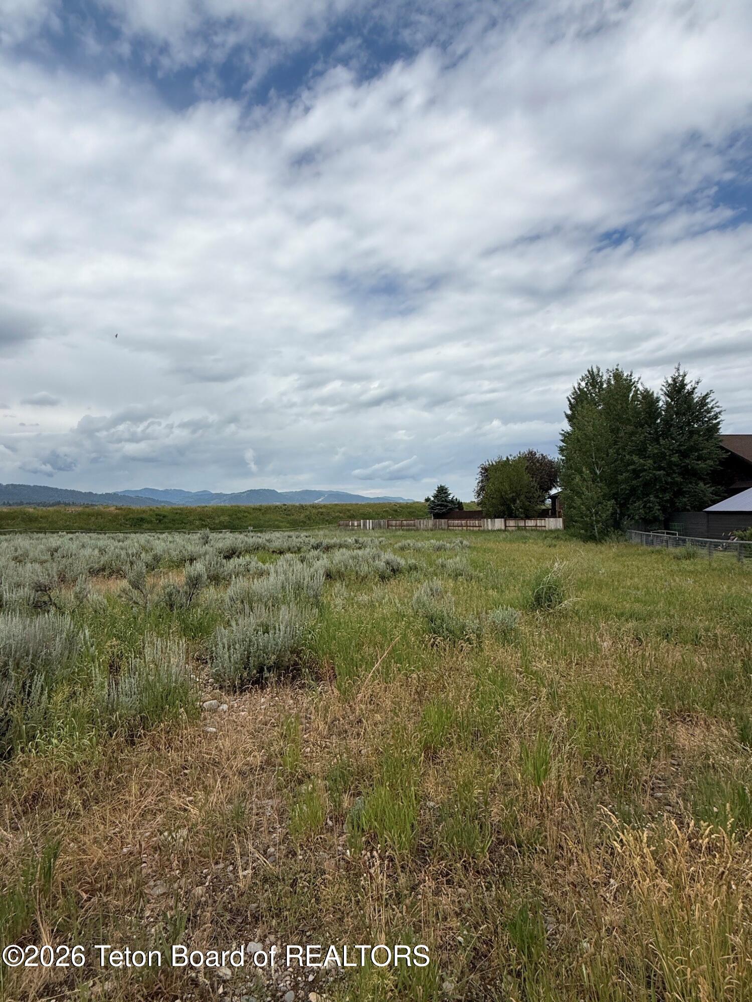 536 Snake River Drive Alpine, WY 83128 - Photo 7 of 10 Mature Trees to NW