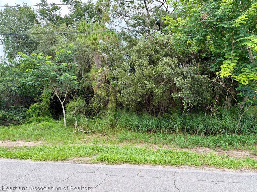 2670 North Labelle Road Avon Park, FL 33825 - Photo 1 of 5