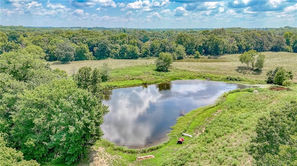 1025 Southwest 401st Road Chilhowee, MO 64733 - Photo 7 of 36 Gallery Image 7
