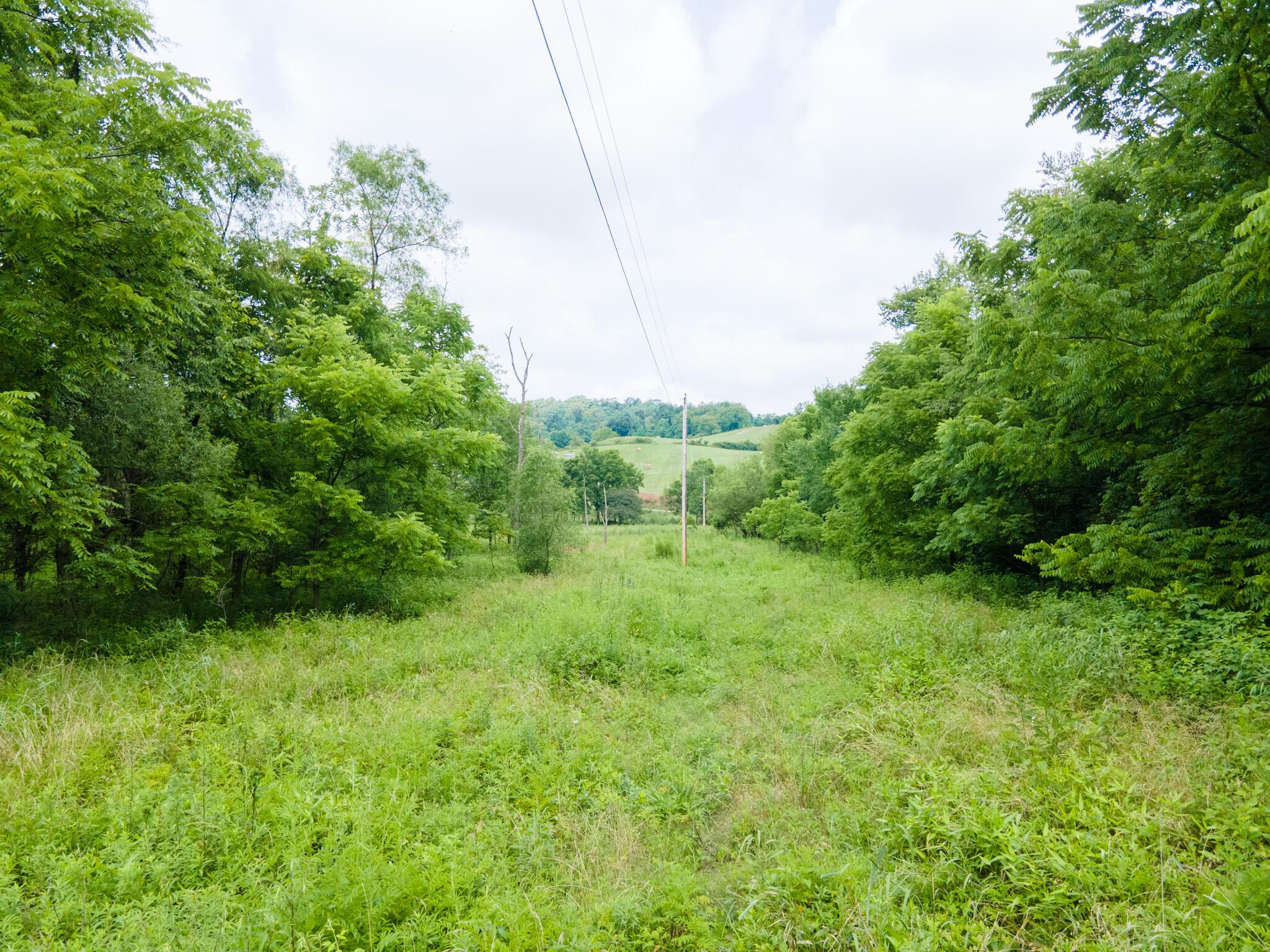 0 White Eyes Road Norwich, OH 43767 - Photo 10 of 14 DJI_0023