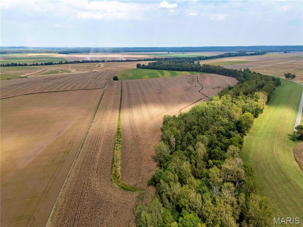 0 Bond Road St. Mary, IL 63673 - Photo 25 of 62 Gallery Image 25