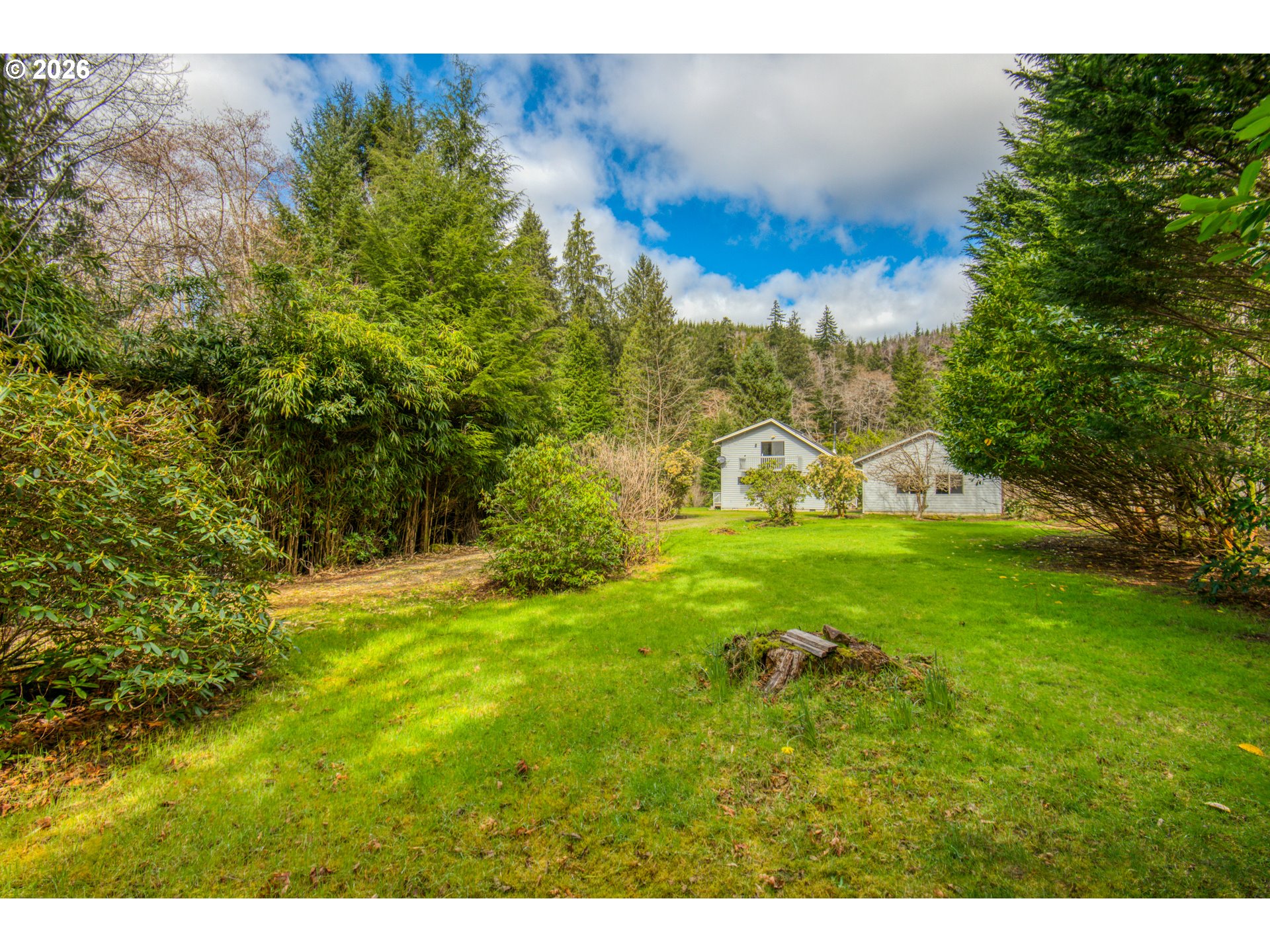 78488 Highway 53 Nehalem, OR 97131 - Photo 3 of 40 a view of a big yard with large trees