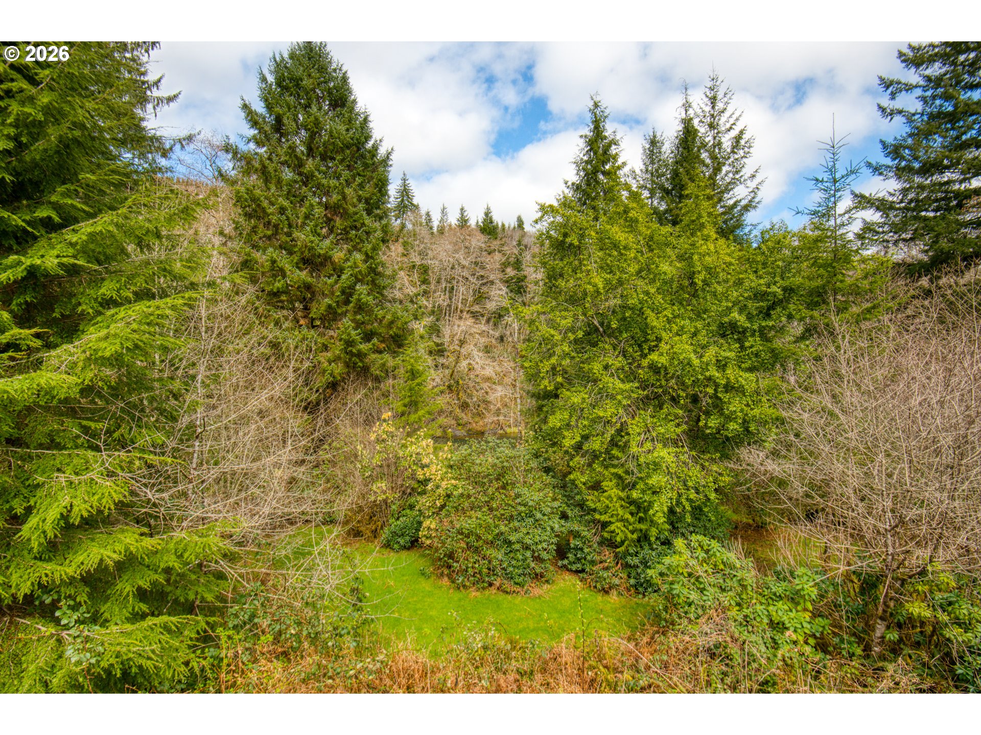 78488 Highway 53 Nehalem, OR 97131 - Photo 34 of 40 a view of a bunch of trees