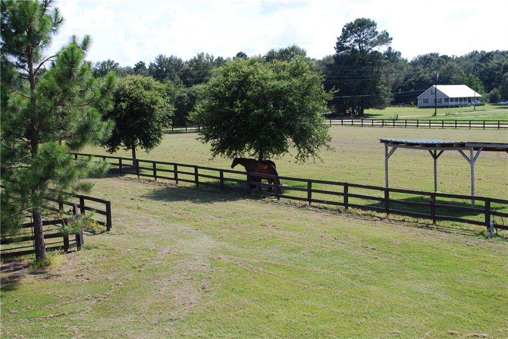 50040 Turnpike Road Folsom, LA 70437 - Photo 6 of 10 Gallery Image 6