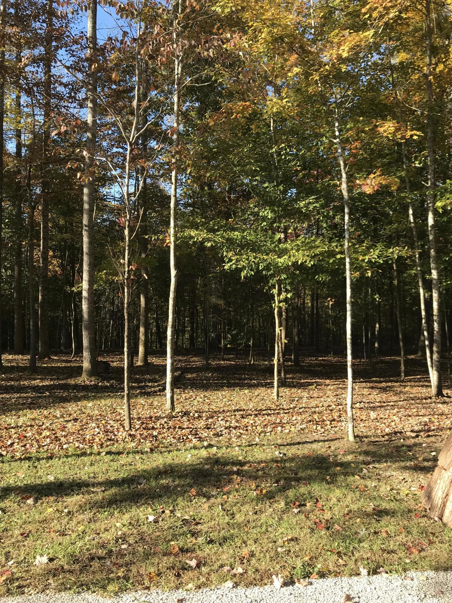 2446 Poplar Springs Road Liberty, KY 42539 - Photo 18 of 19 IMG_3495