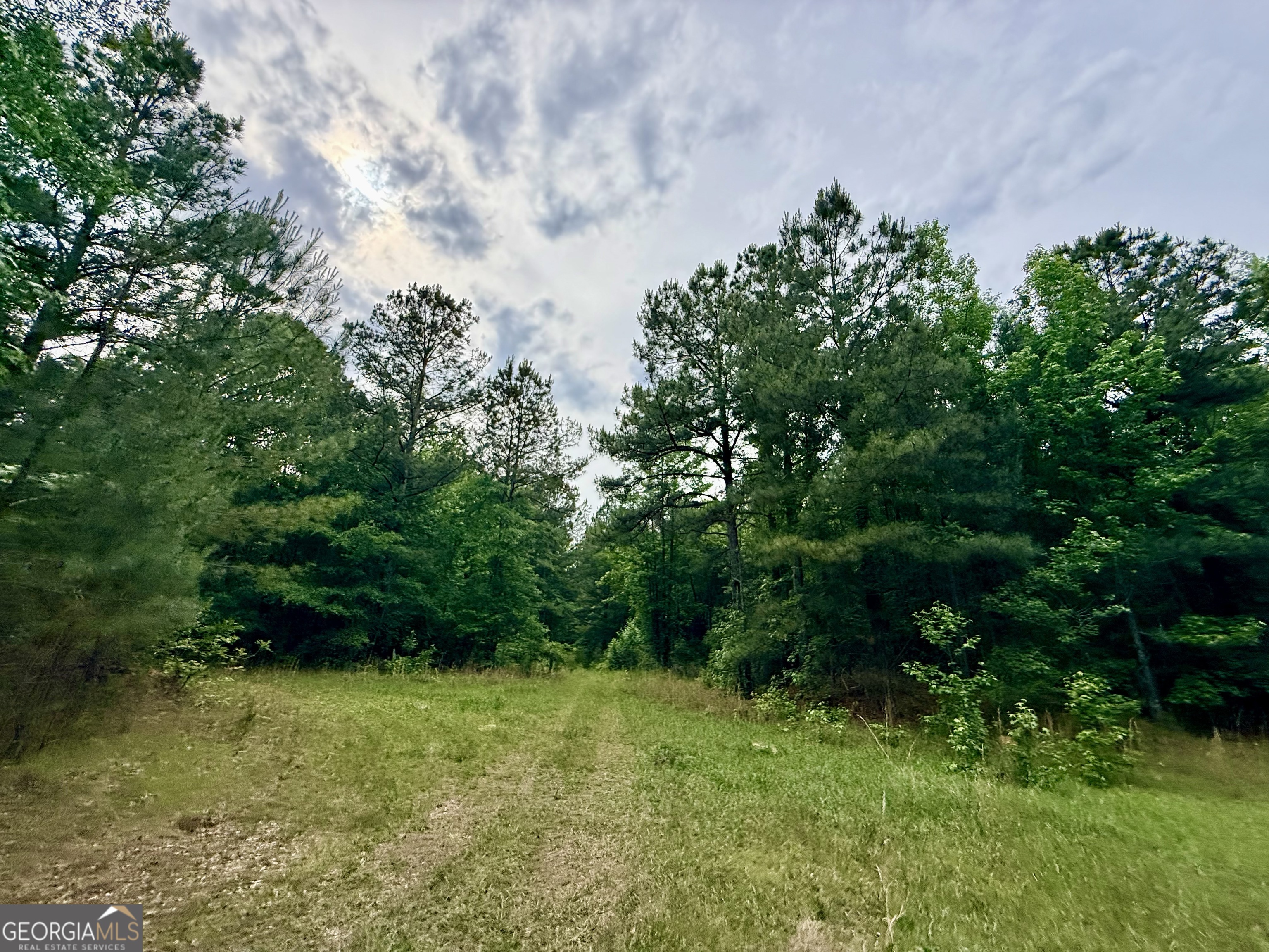715 Fulsome Creek Road Sparta, GA 31087 - Photo 105 of 117