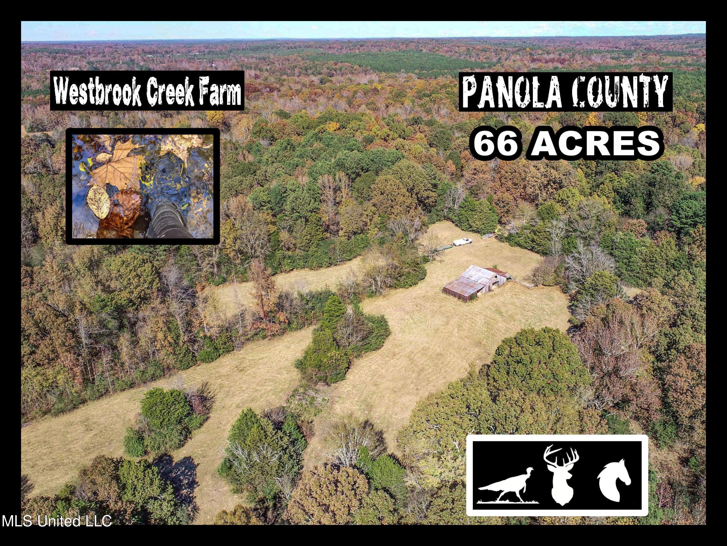 500 Westbrook Road Courtland, MS 38620 - Photo 1 of 156 Westbrook Creek Farm