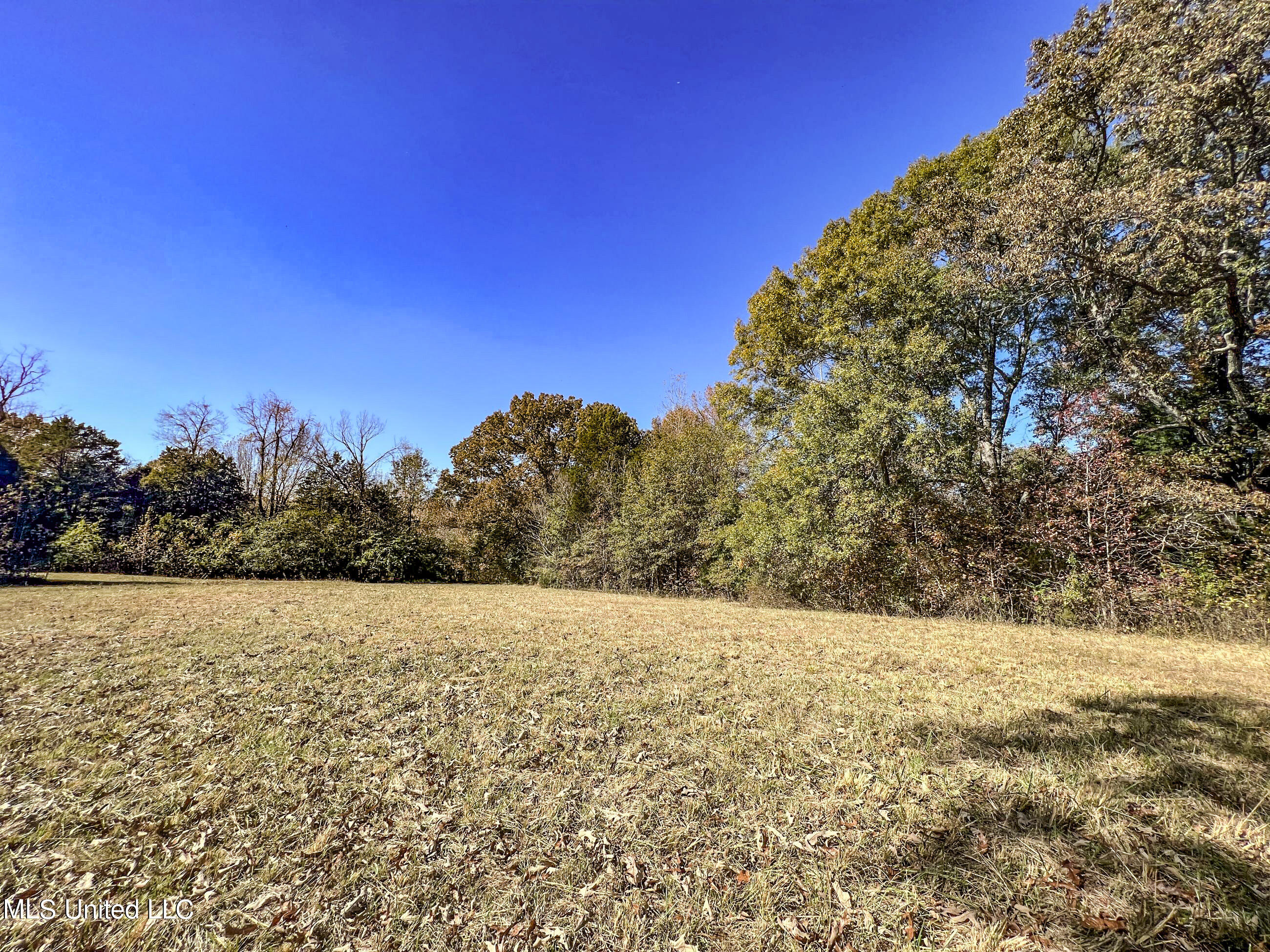 500 Westbrook Road Courtland, MS 38620 - Photo 104 of 156 cprk90