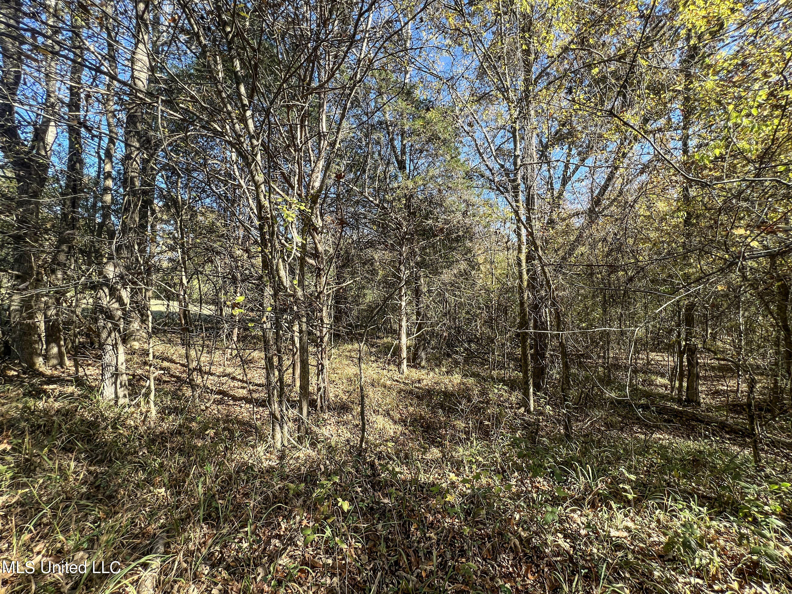 500 Westbrook Road Courtland, MS 38620 - Photo 105 of 156 cprk91