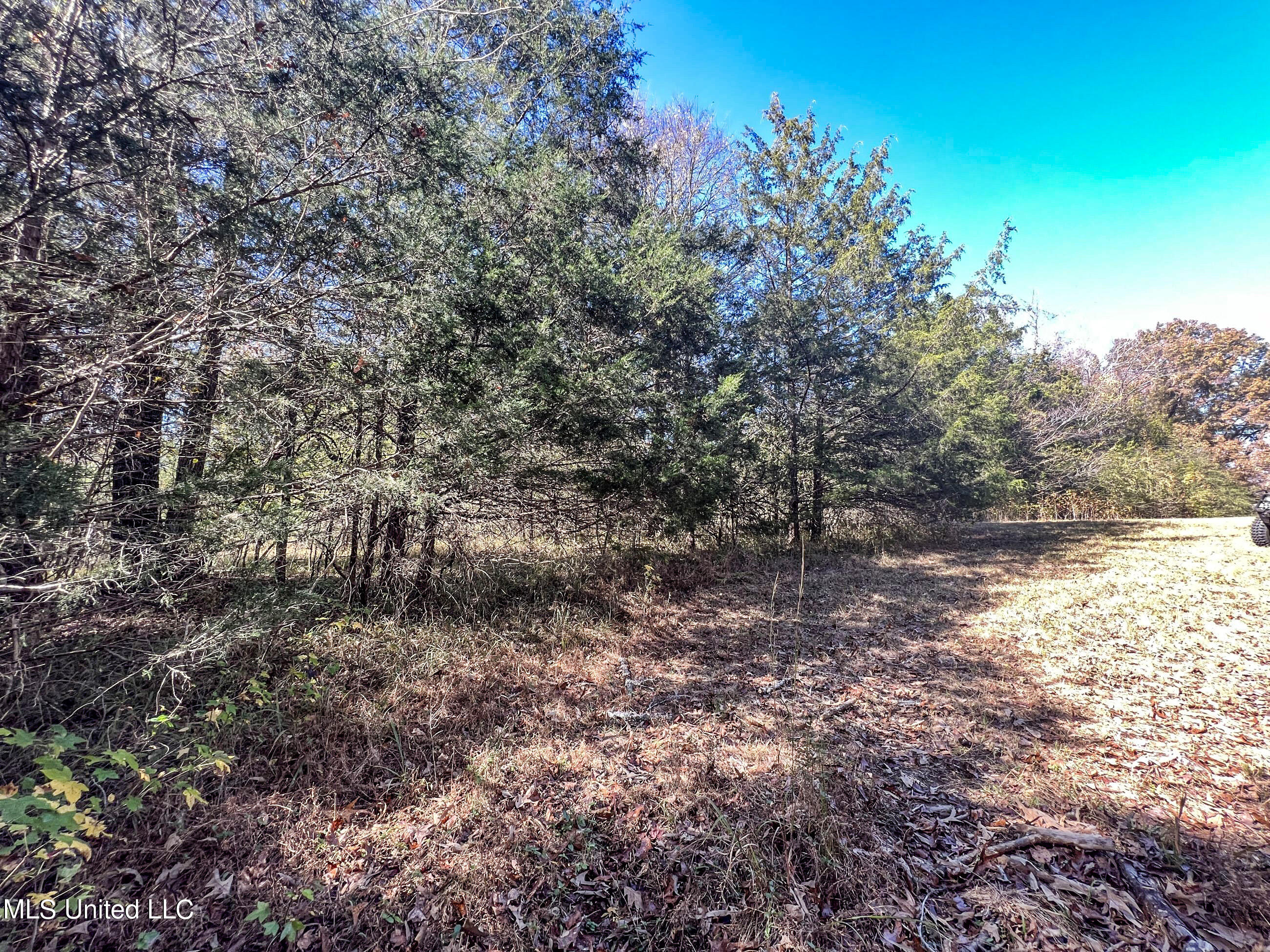 500 Westbrook Road Courtland, MS 38620 - Photo 106 of 156 cprk92