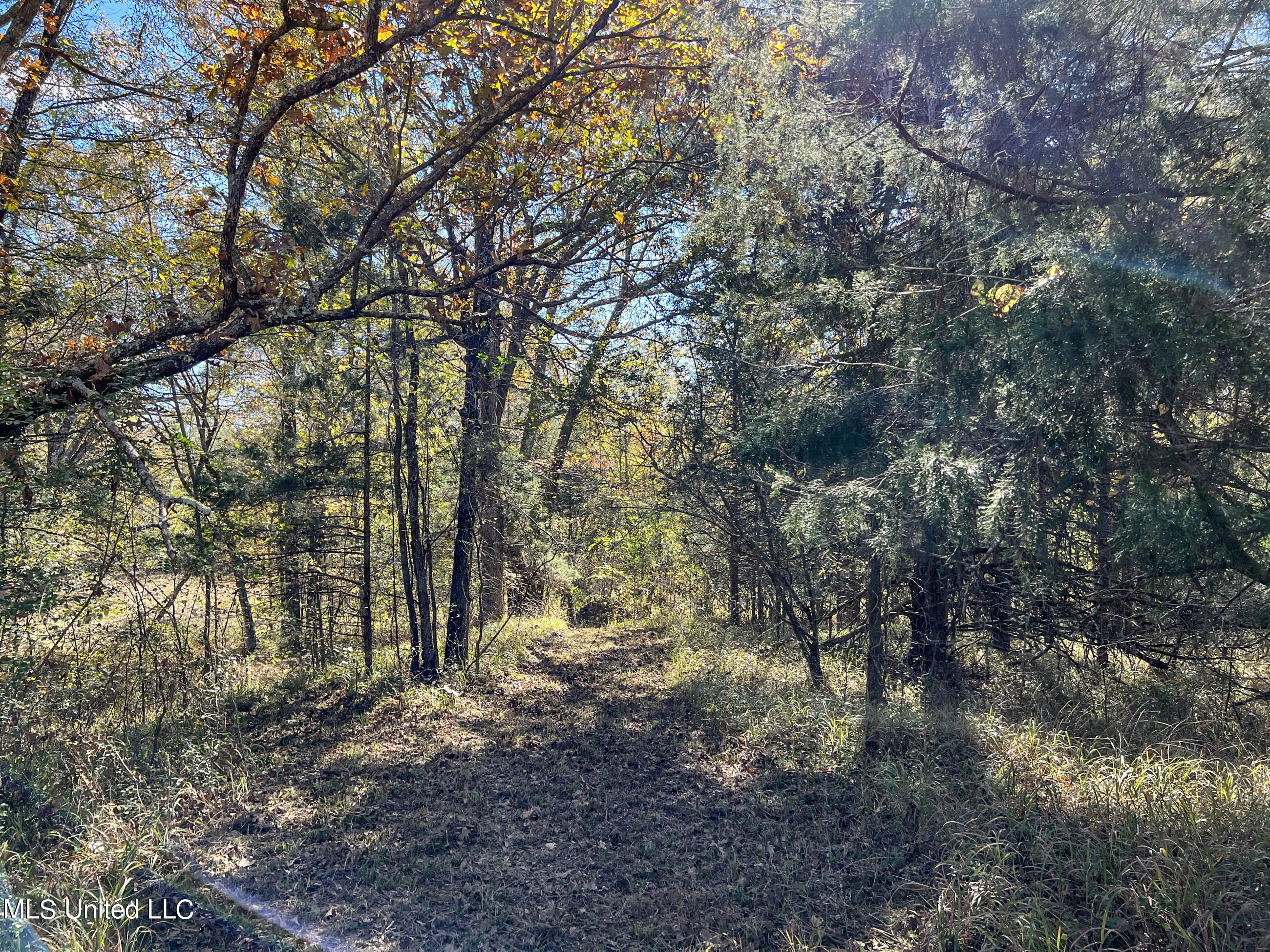 500 Westbrook Road Courtland, MS 38620 - Photo 112 of 156 cprk102
