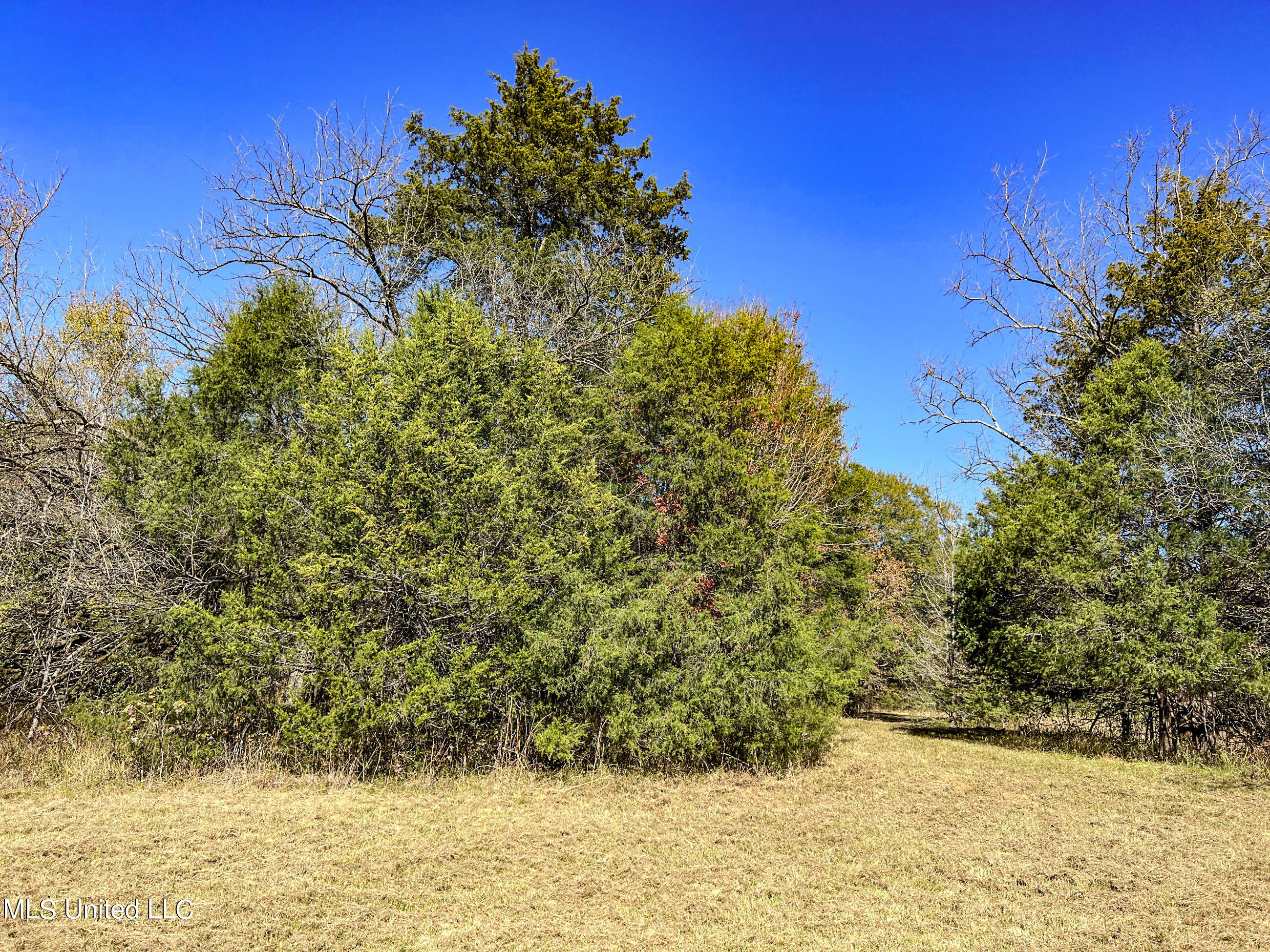 500 Westbrook Road Courtland, MS 38620 - Photo 114 of 156 cprk104