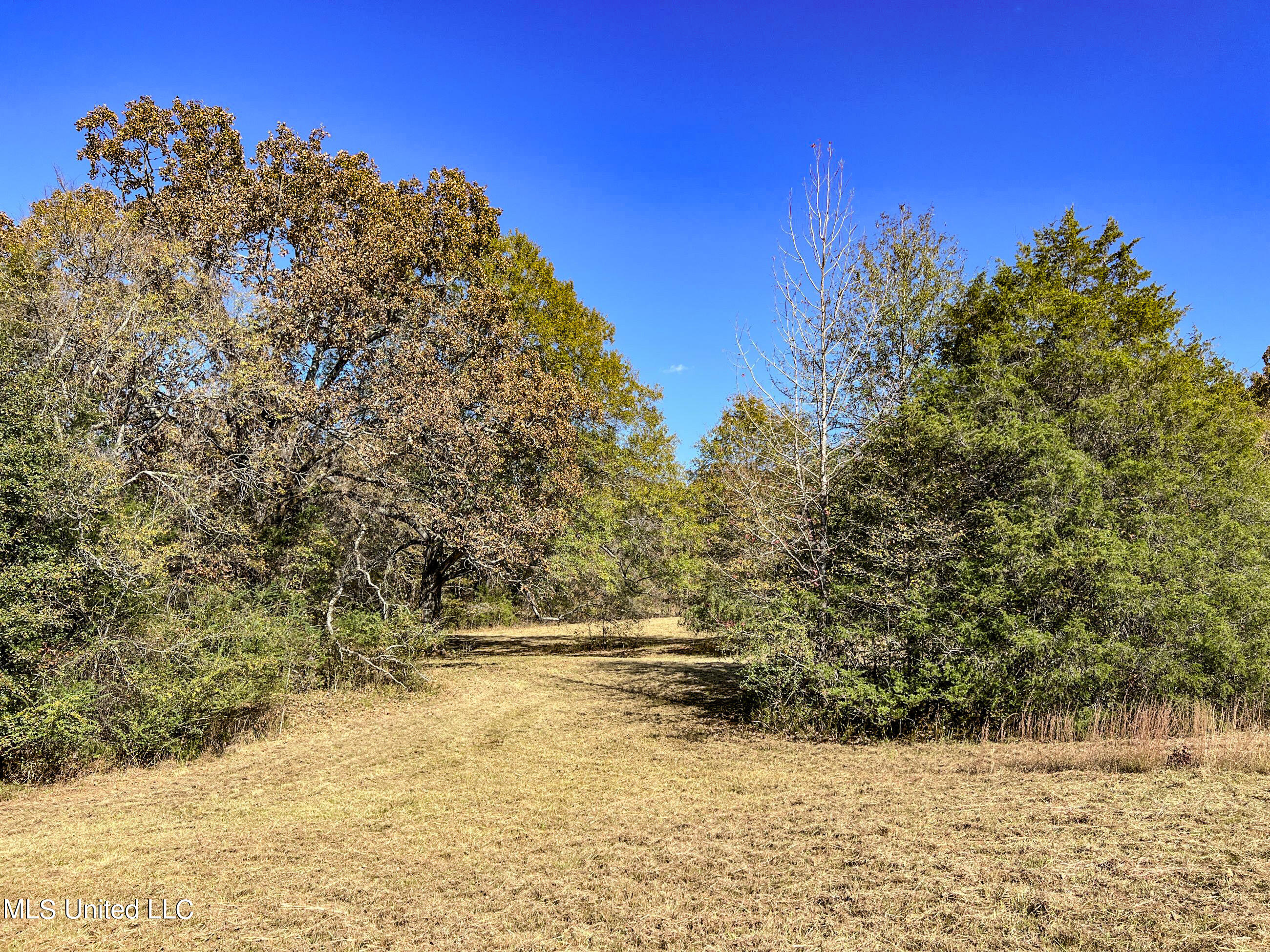 500 Westbrook Road Courtland, MS 38620 - Photo 115 of 156 cprk105