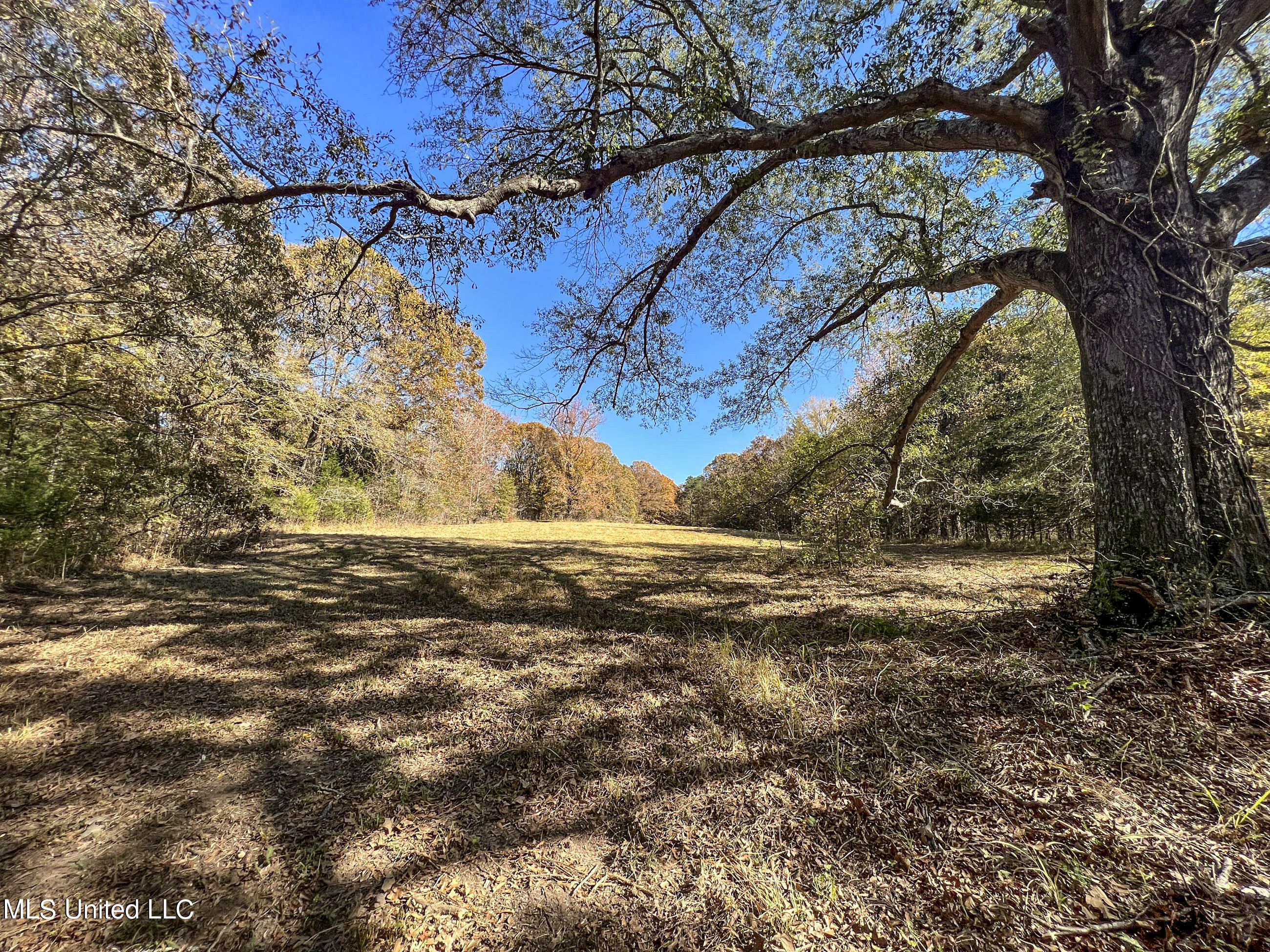 500 Westbrook Road Courtland, MS 38620 - Photo 117 of 156 cprk107