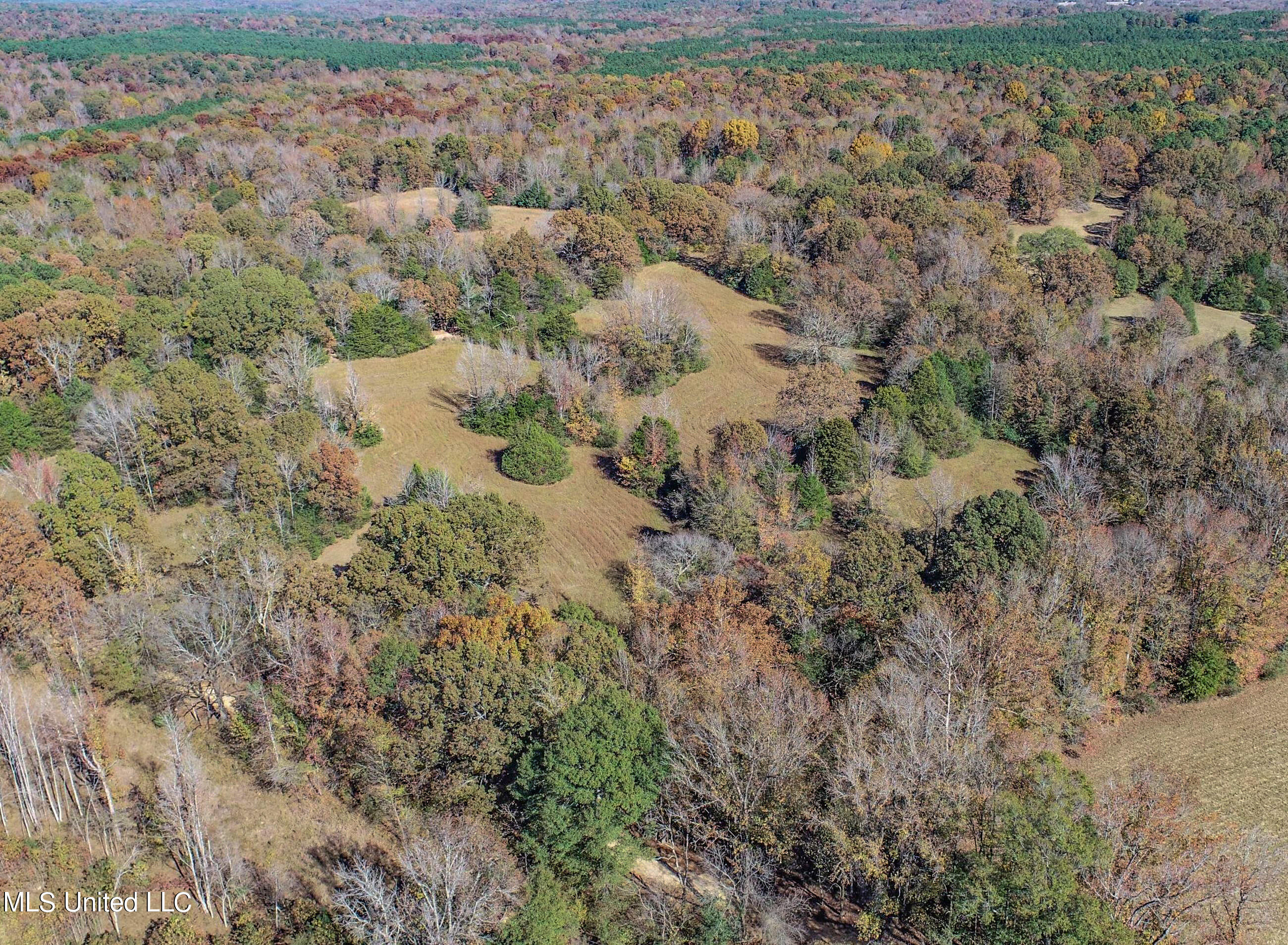 500 Westbrook Road Courtland, MS 38620 - Photo 12 of 156 3cprk6