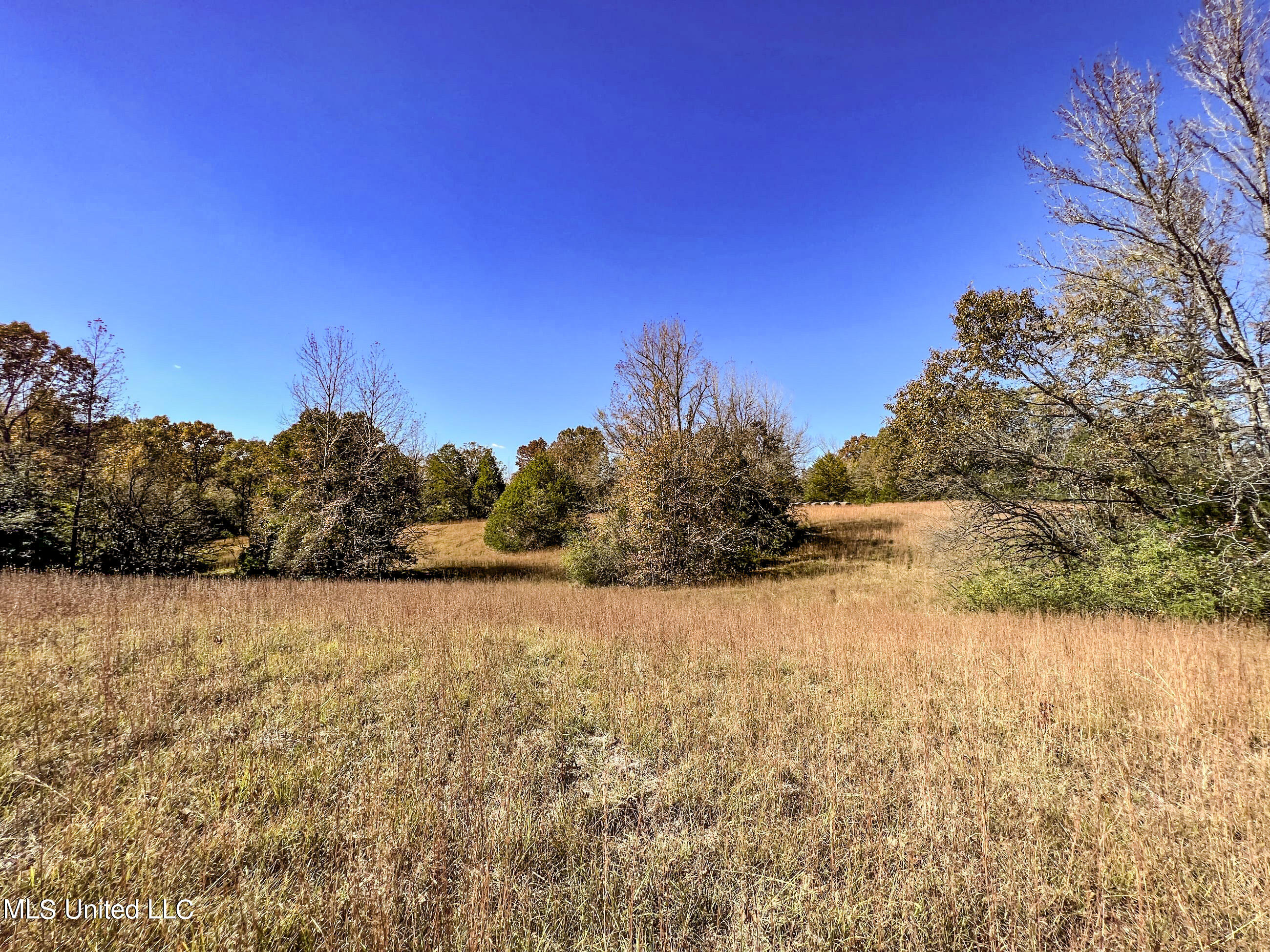 500 Westbrook Road Courtland, MS 38620 - Photo 123 of 156 cprk113