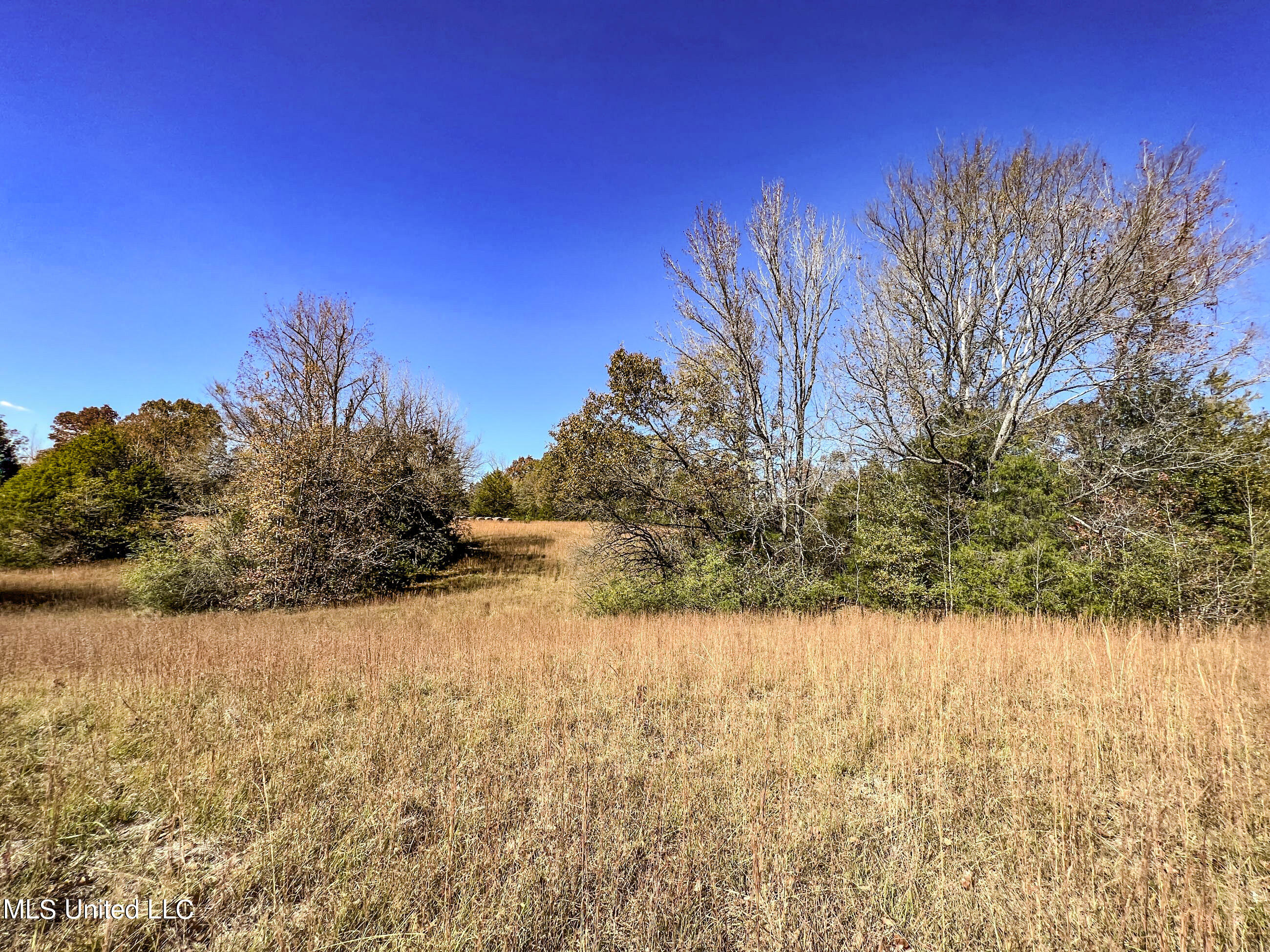 500 Westbrook Road Courtland, MS 38620 - Photo 124 of 156 cprk114