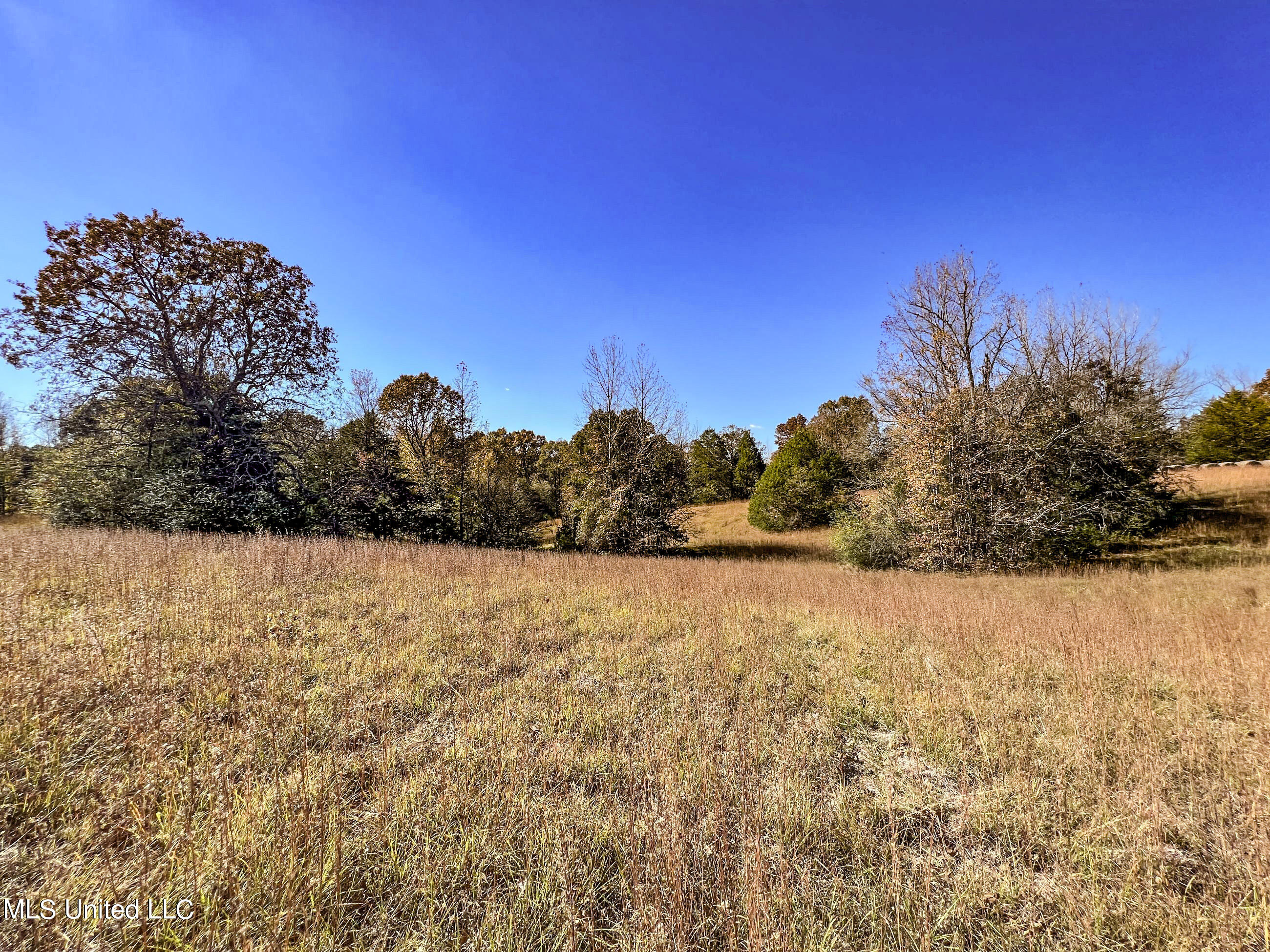 500 Westbrook Road Courtland, MS 38620 - Photo 125 of 156 cprk115