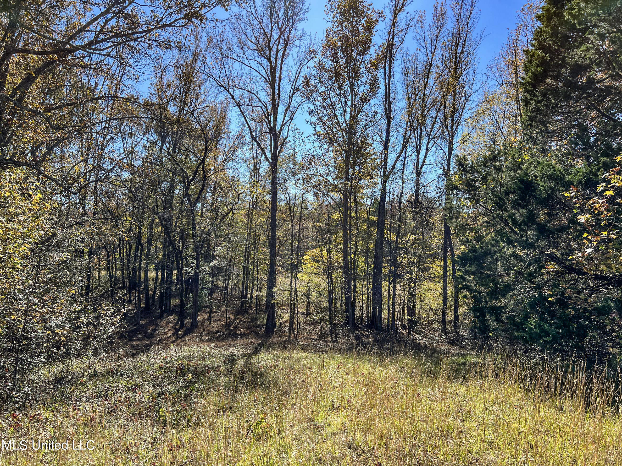 500 Westbrook Road Courtland, MS 38620 - Photo 126 of 156 cprk116