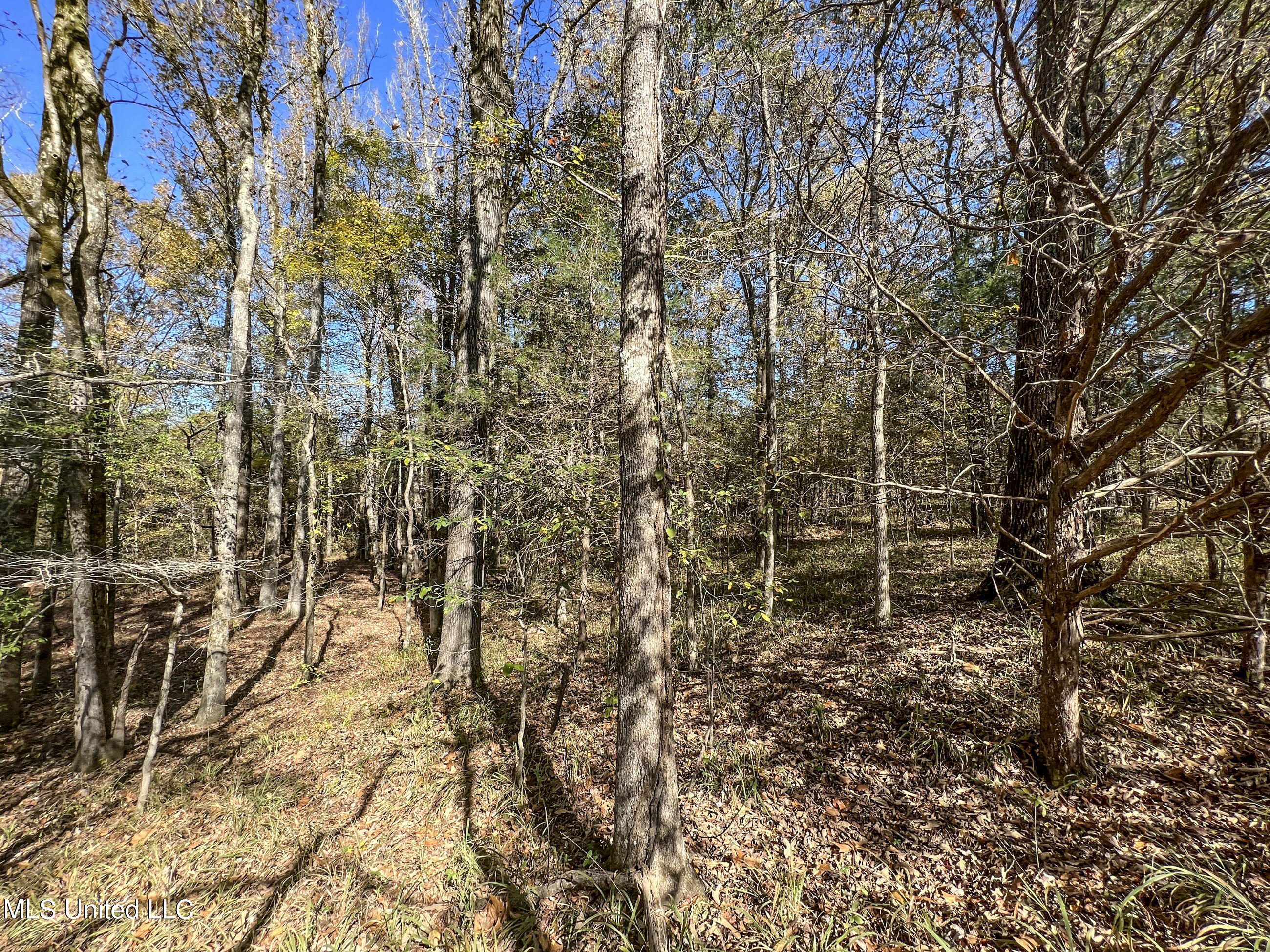 500 Westbrook Road Courtland, MS 38620 - Photo 129 of 156 cprk119