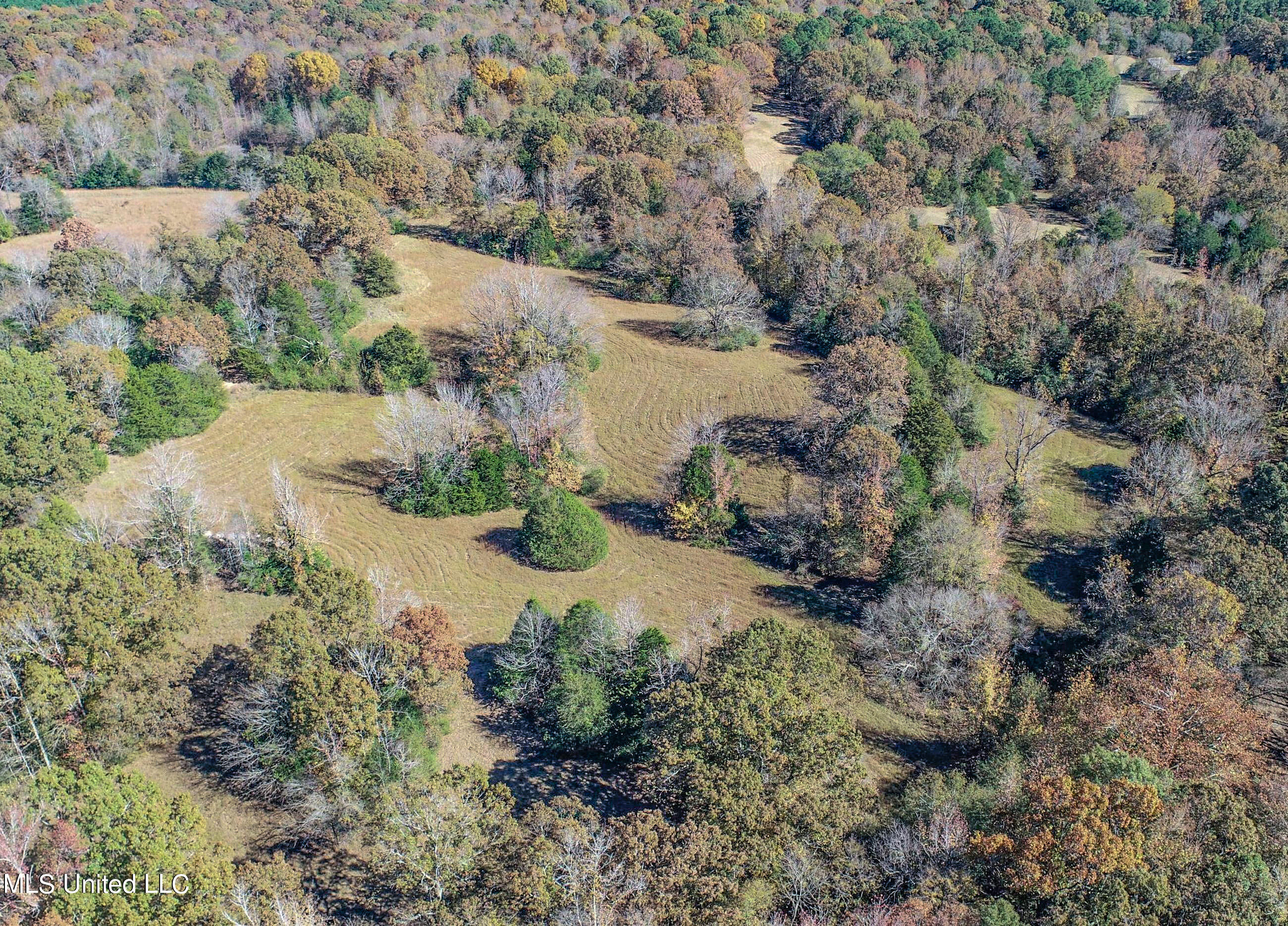 500 Westbrook Road Courtland, MS 38620 - Photo 13 of 156 3cprk7