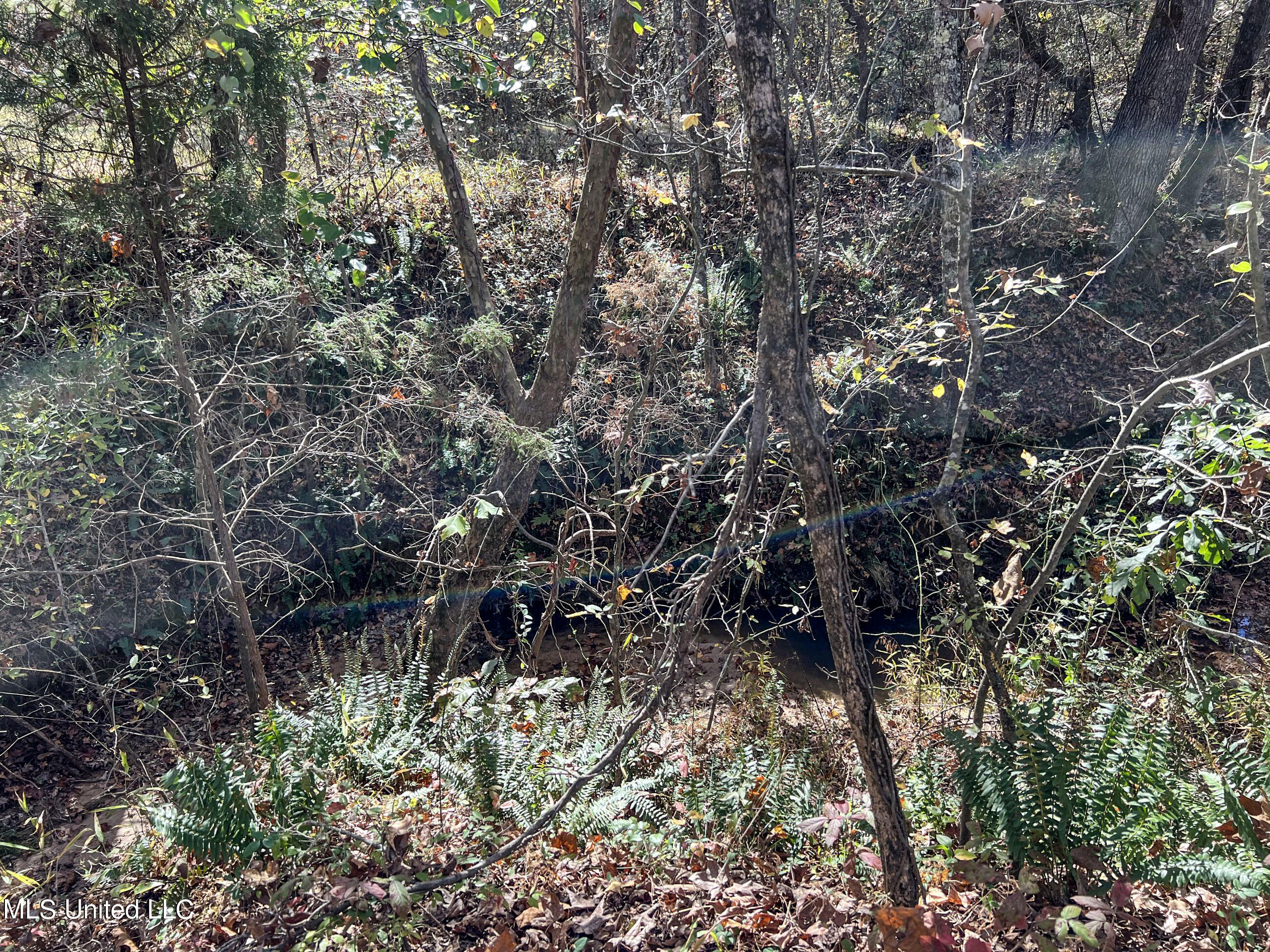 500 Westbrook Road Courtland, MS 38620 - Photo 131 of 156 cprk121