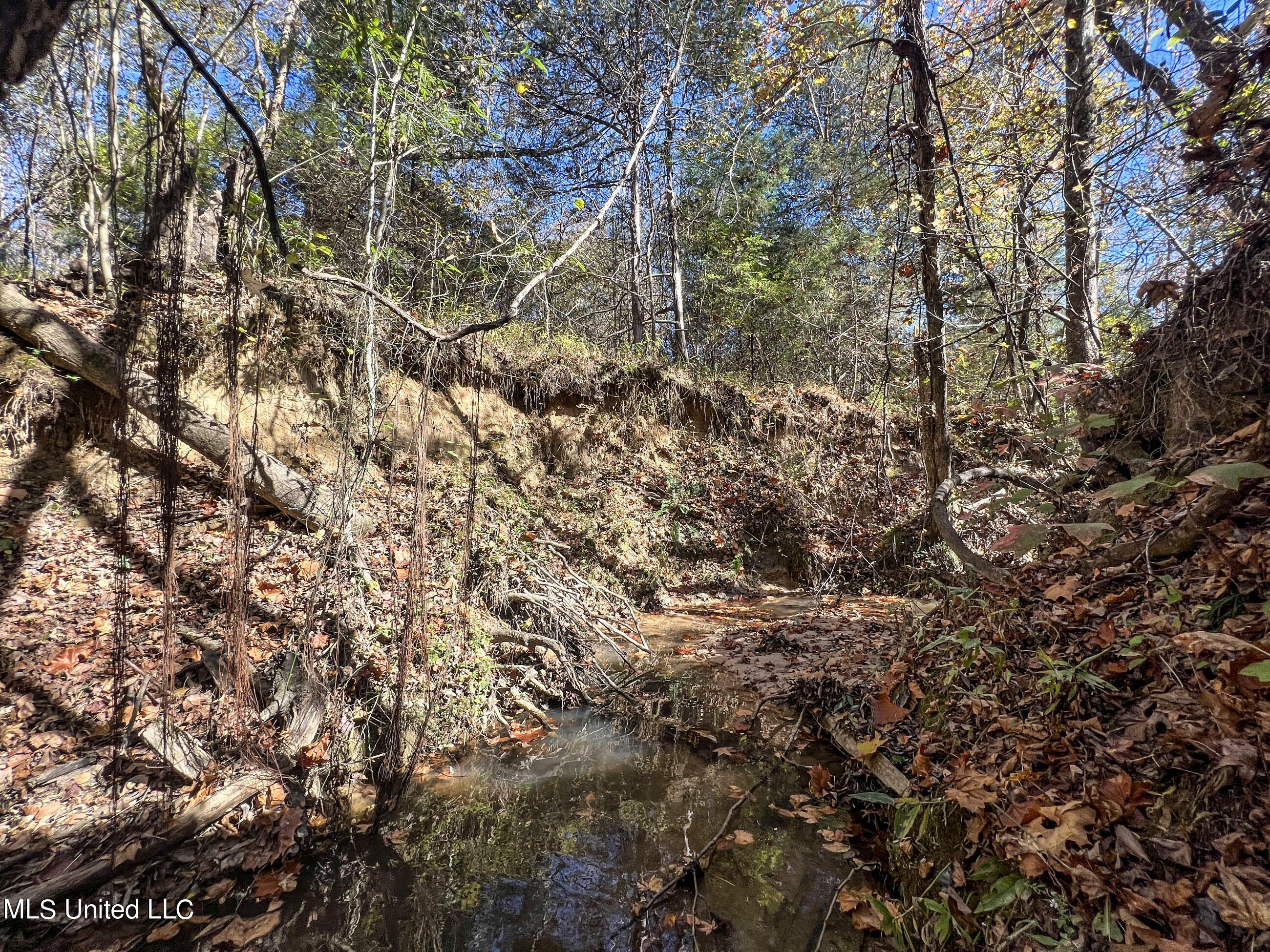 500 Westbrook Road Courtland, MS 38620 - Photo 139 of 156 cprk131